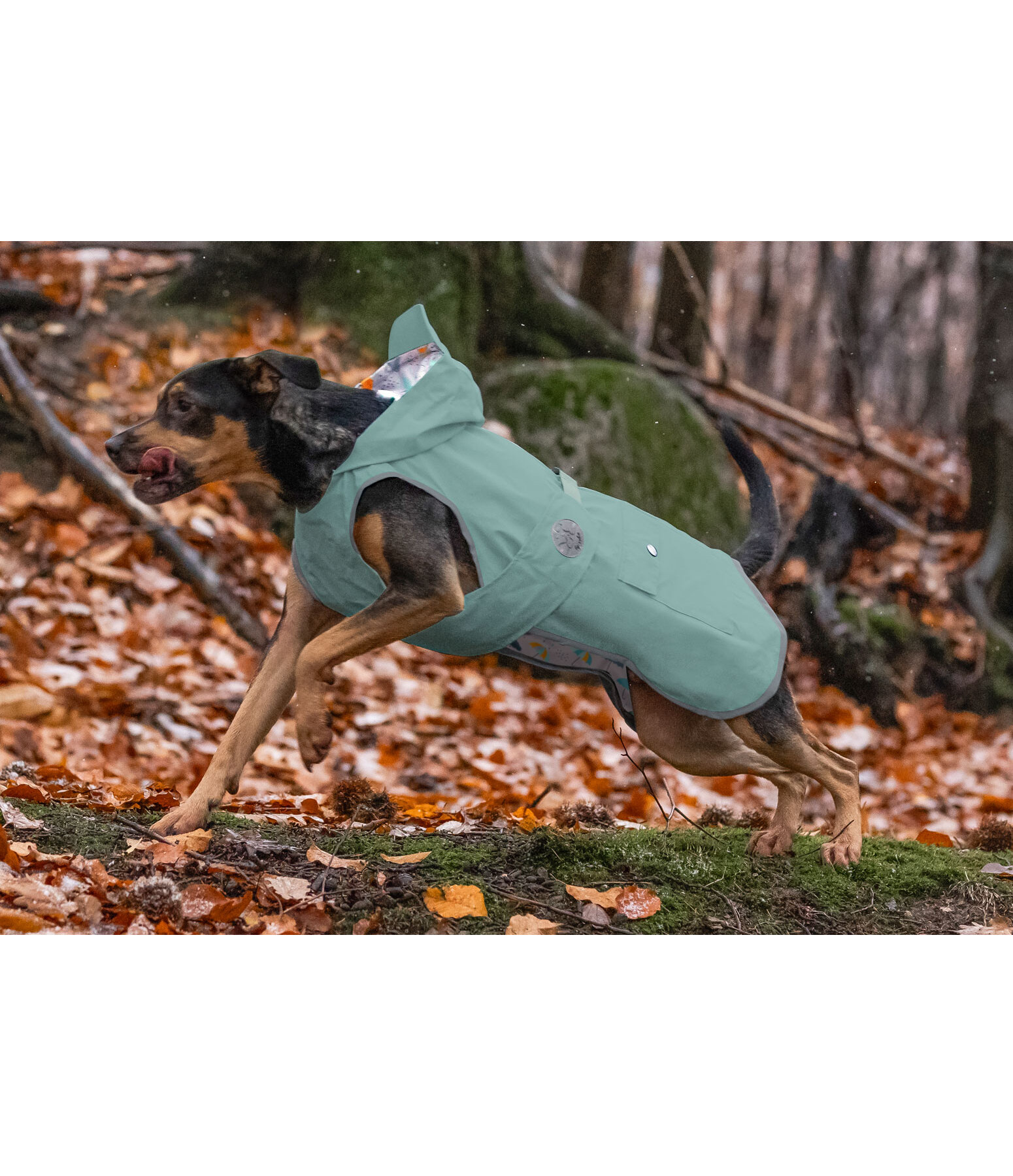 Rain Dog Coat Waterton Lakes, 0g