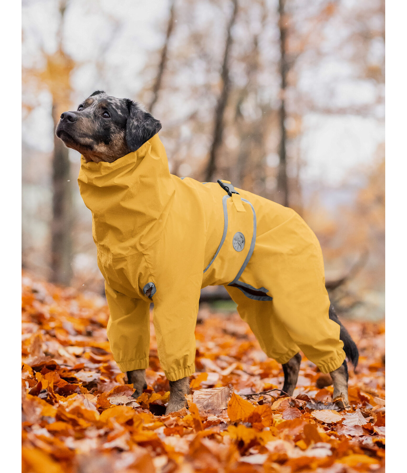 Allover Dog Rain Jacket Sequoia II, 0g