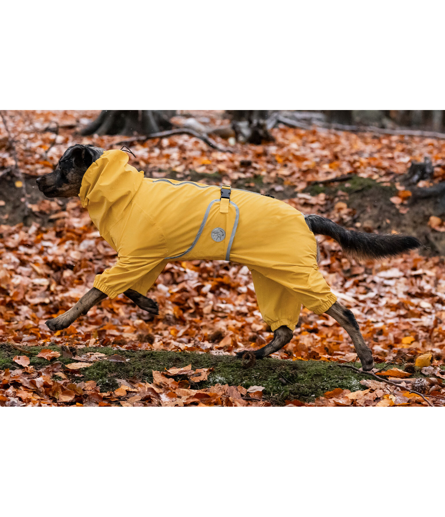 Allover Dog Rain Jacket Sequoia II, 0g