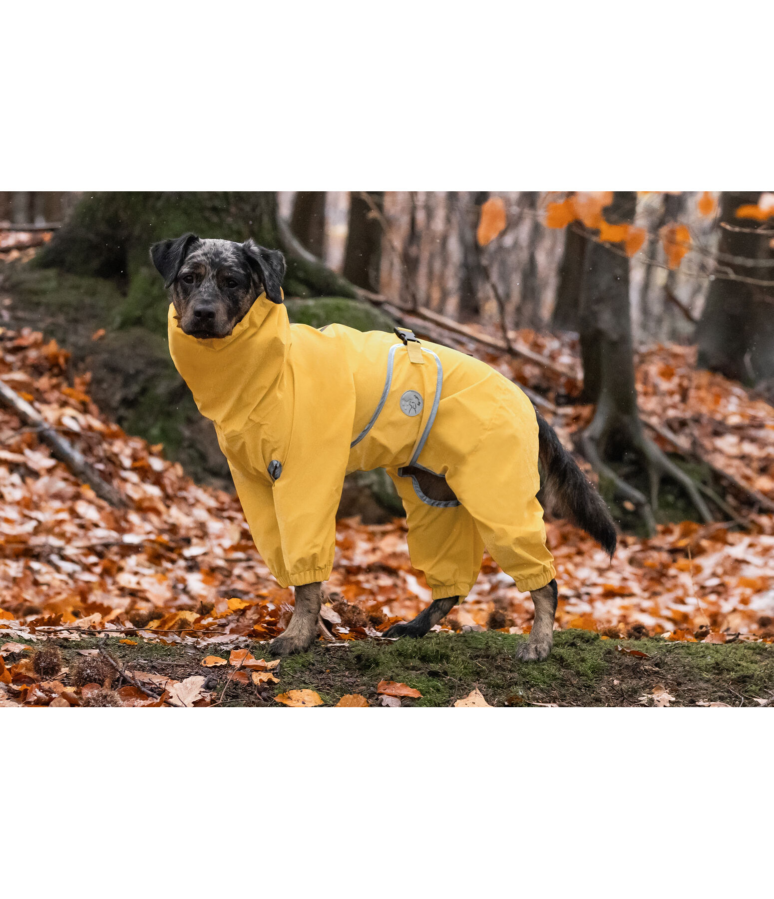 Allover Dog Rain Jacket Sequoia II, 0g