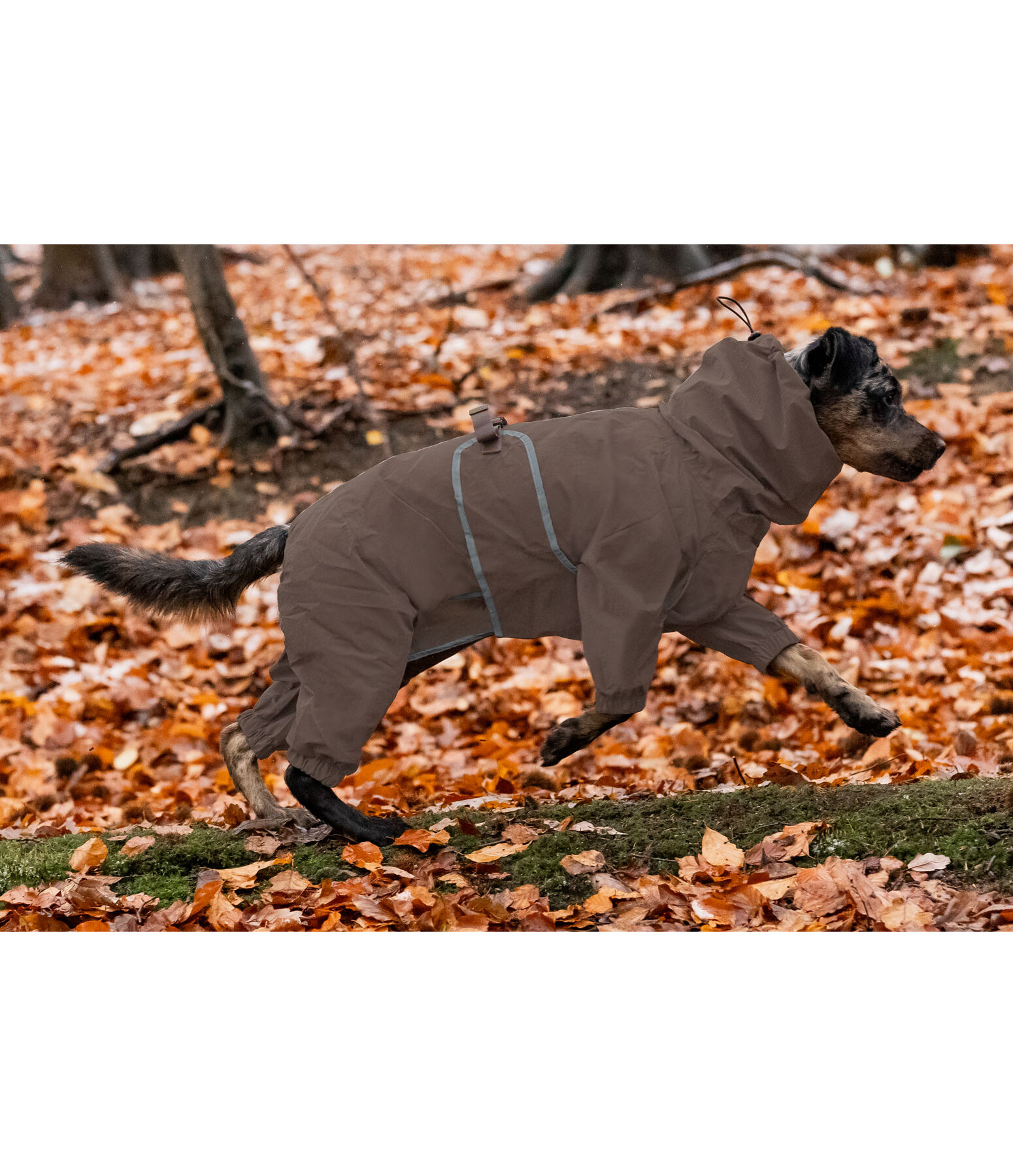 Allover Dog Rain Jacket Sequoia II, 0g