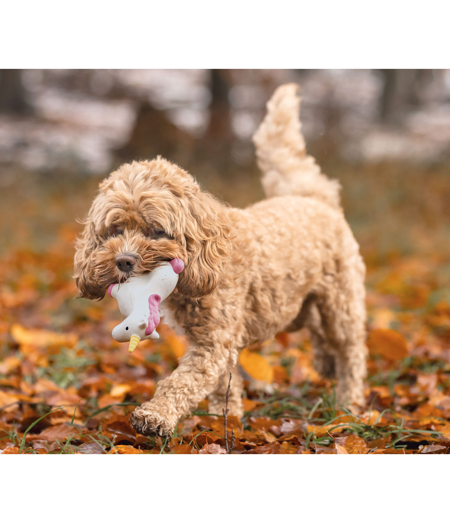 Squeaky Toy Unicorn for dogs