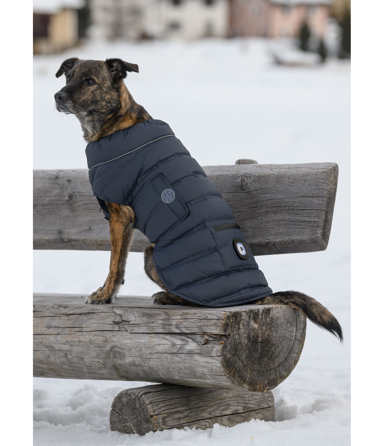 LED Dog Quilted Jacket Arlo, 300g