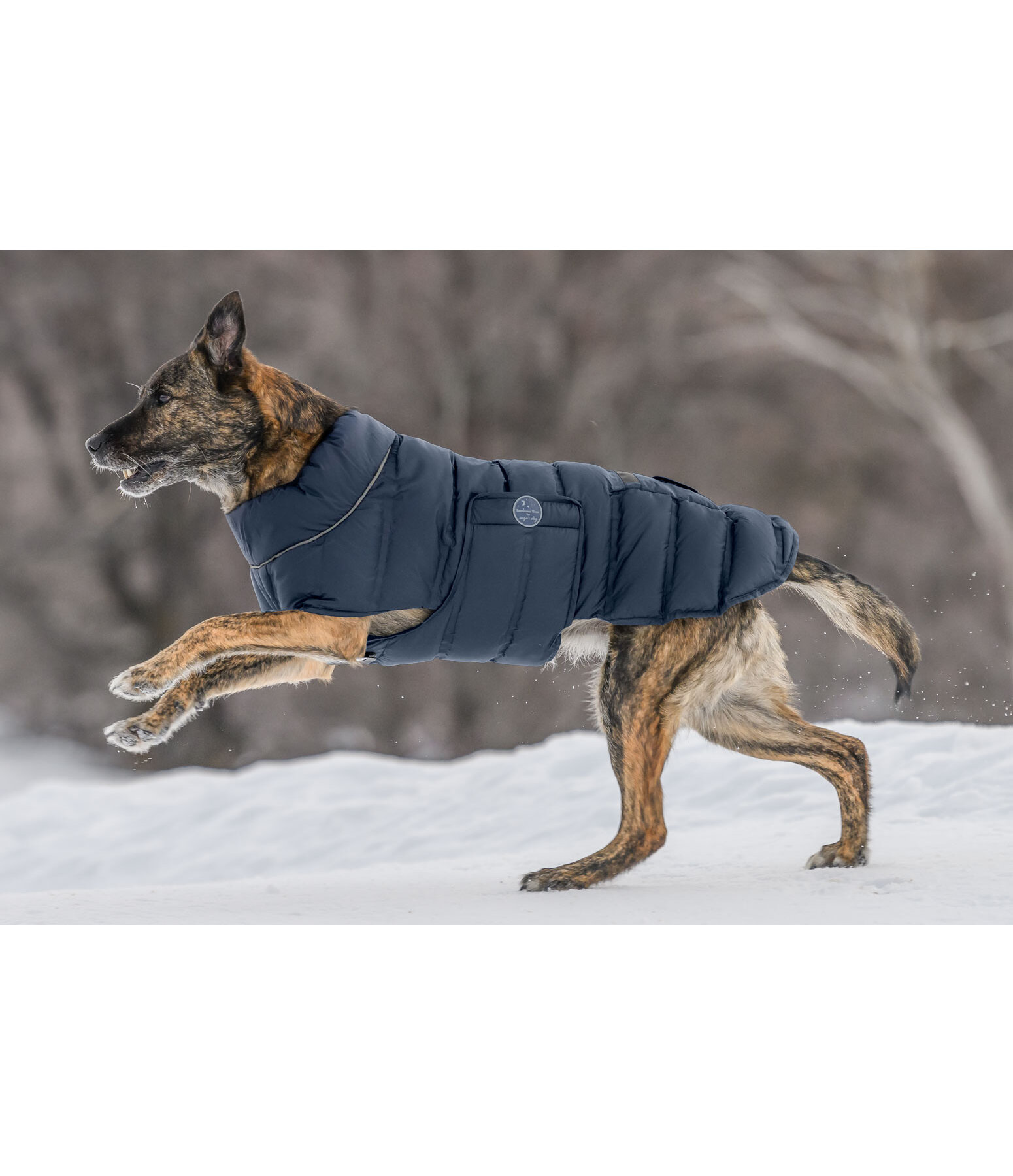 LED Dog Quilted Jacket Arlo, 300g