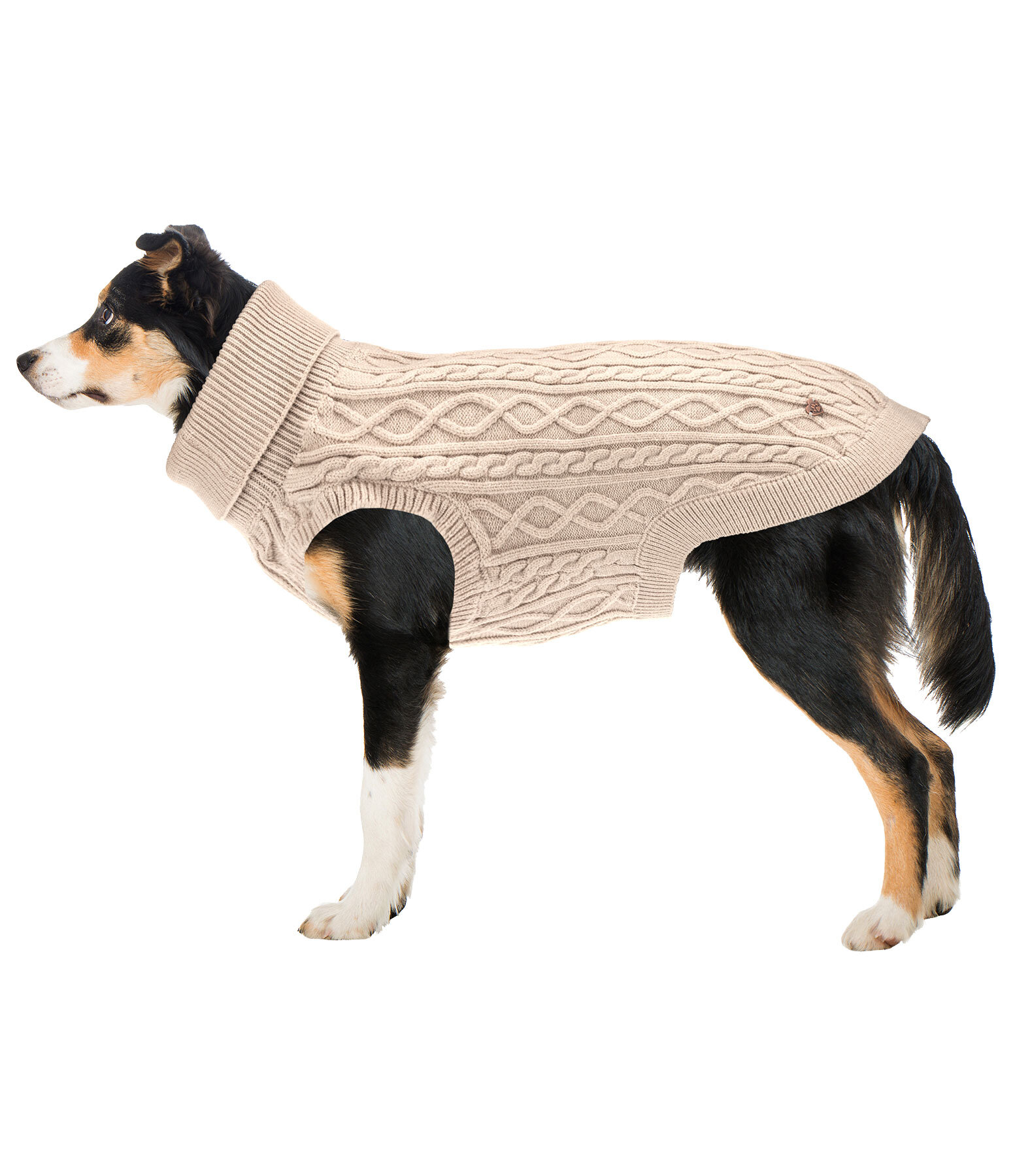 Dog Turtleneck Jumper Maisie