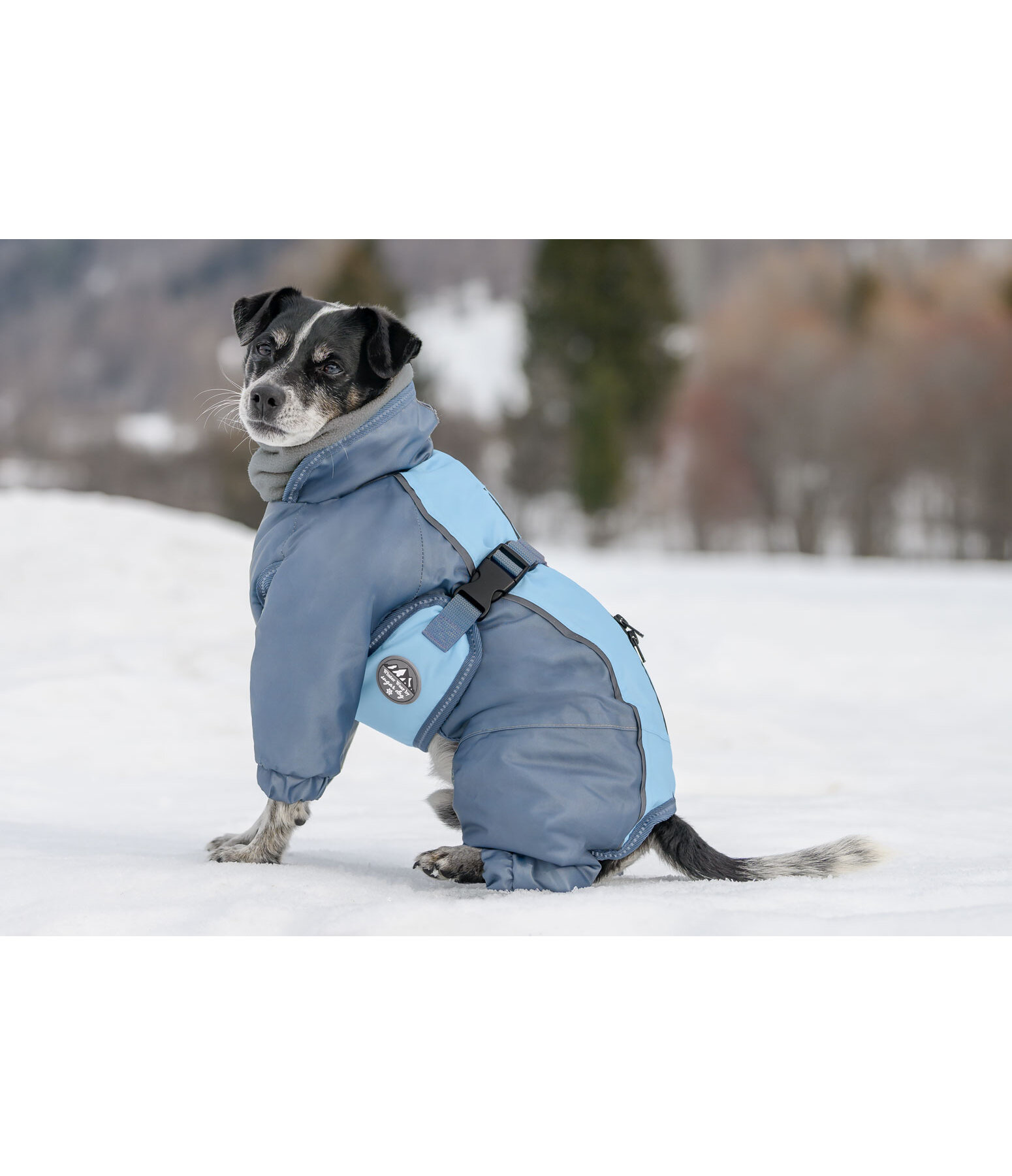 Snow Overall Mount Whistler for dogs, 120g