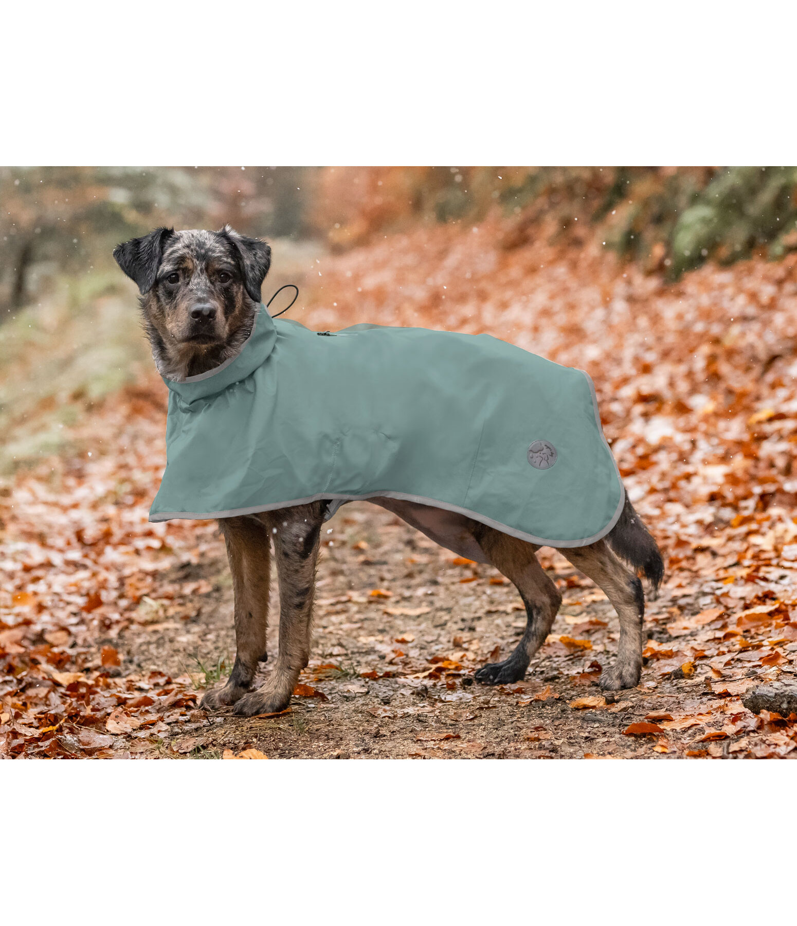 Dog Rain Coat Thousand Islands, 0g