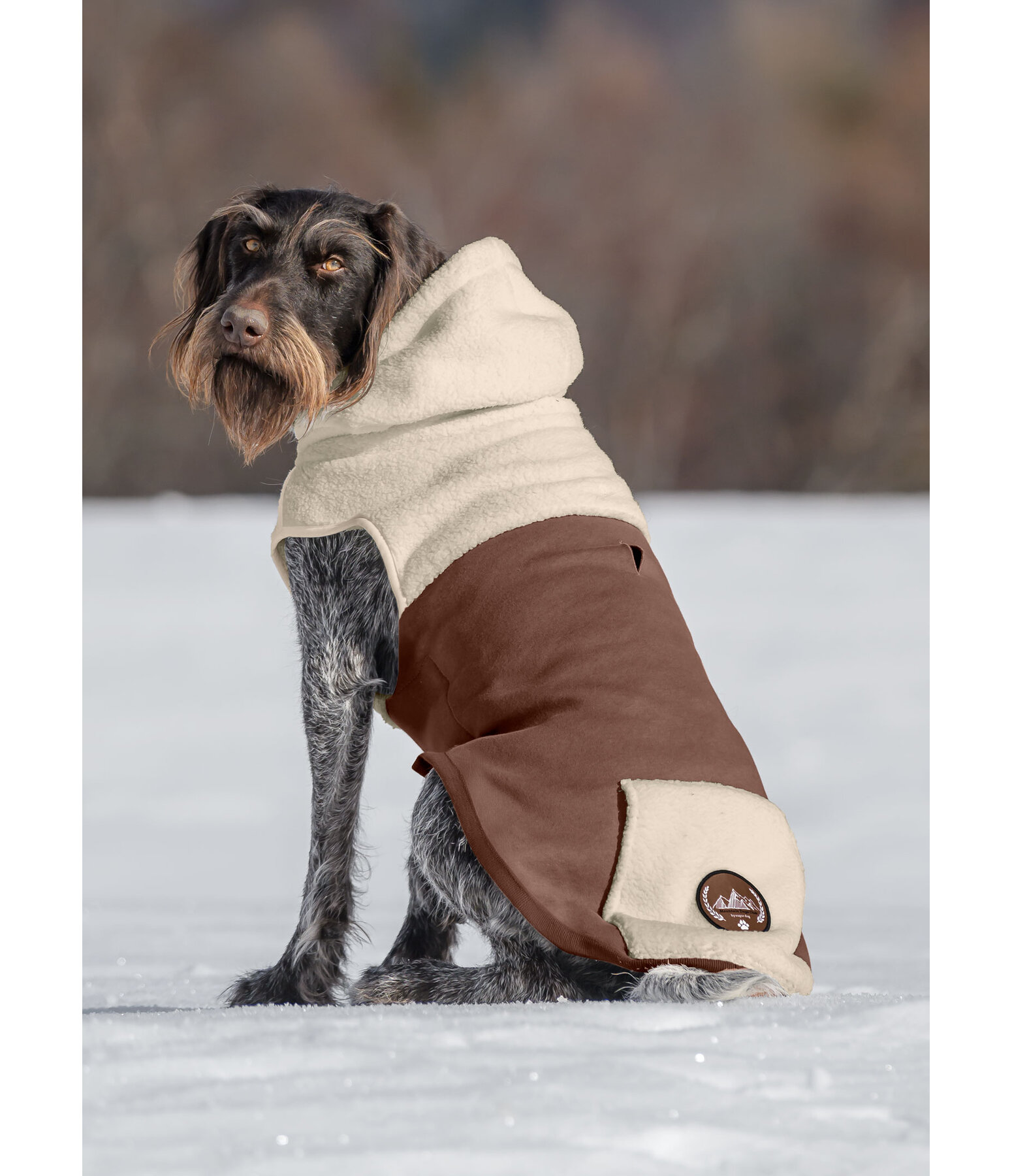 Sherpa Dog Hoodie Sawyer