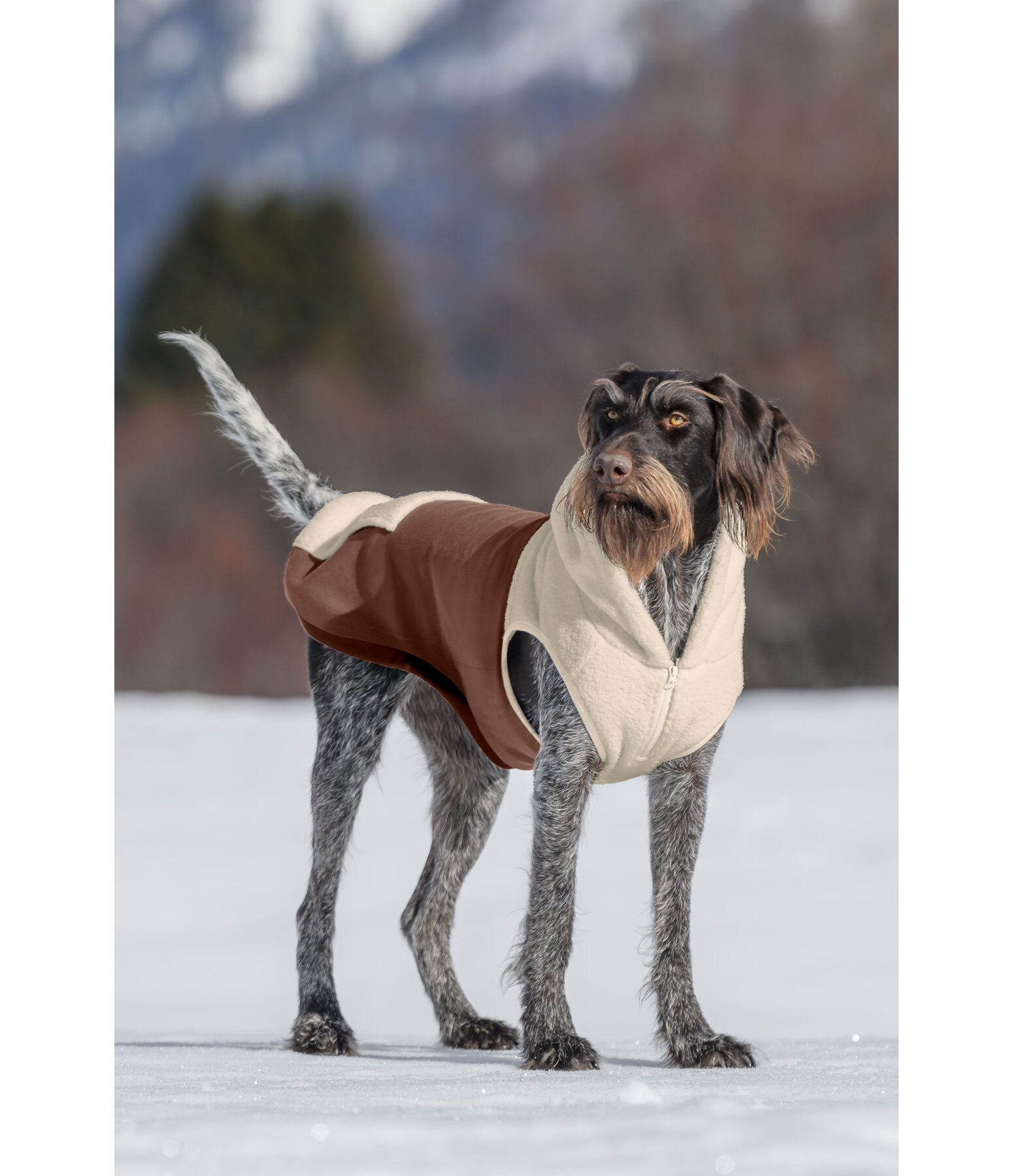 Sherpa Dog Hoodie Sawyer