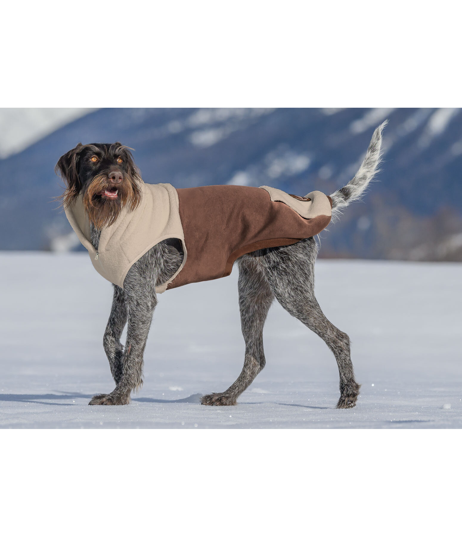 Sherpa Dog Hoodie Sawyer