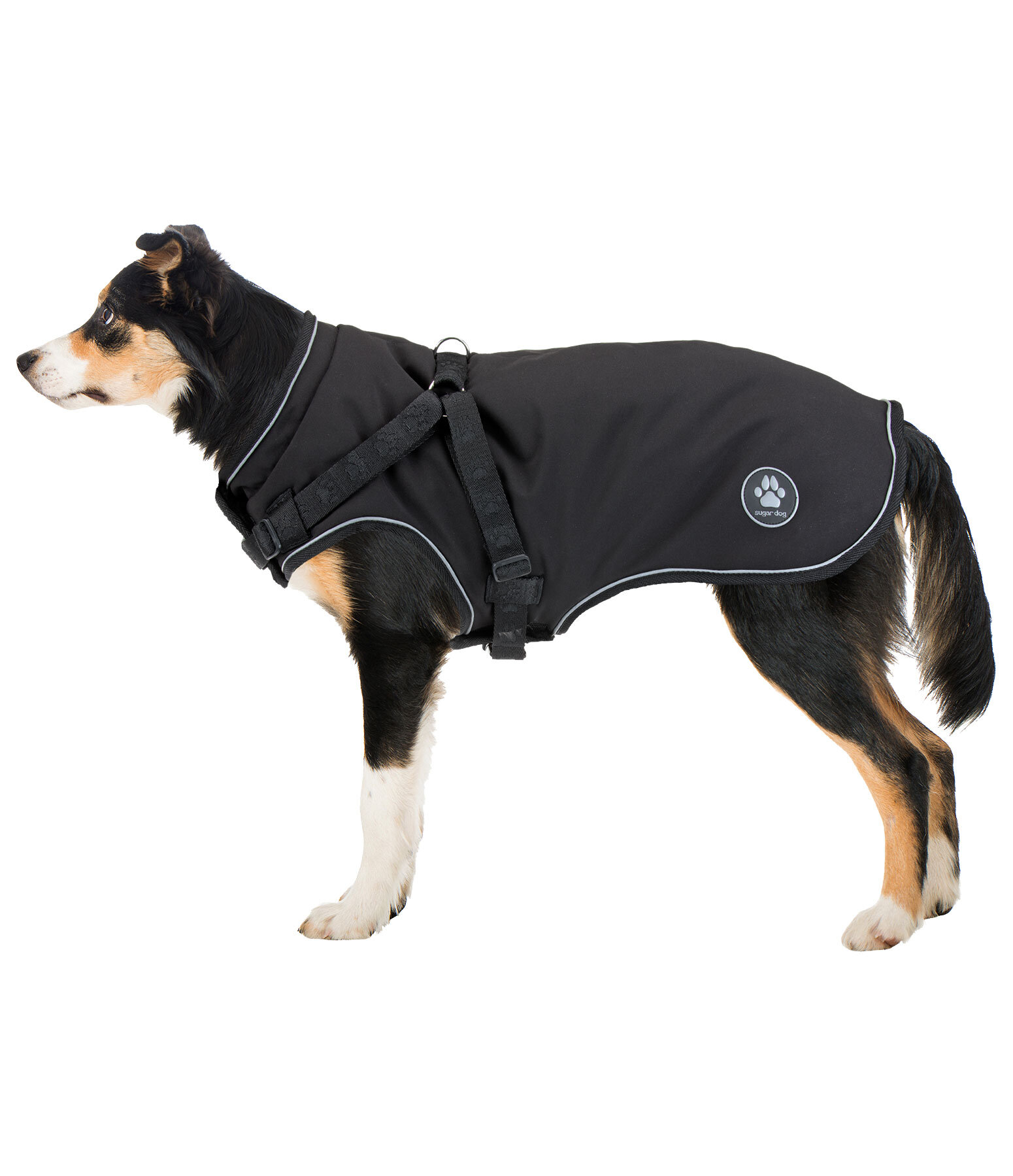 Soft Shell Dog Coat Cruz with integrated harness, 160g