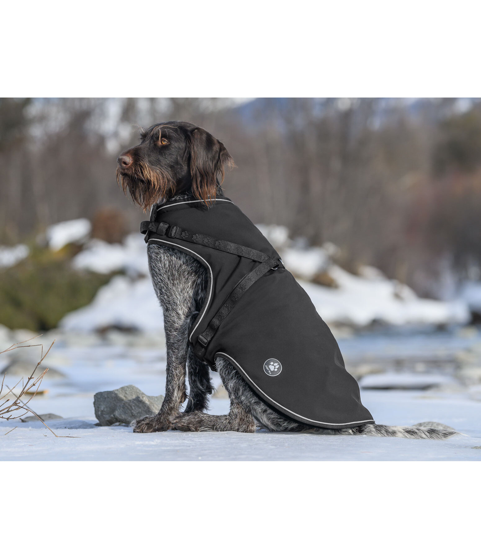 Soft Shell Dog Coat Cruz with integrated harness, 160g