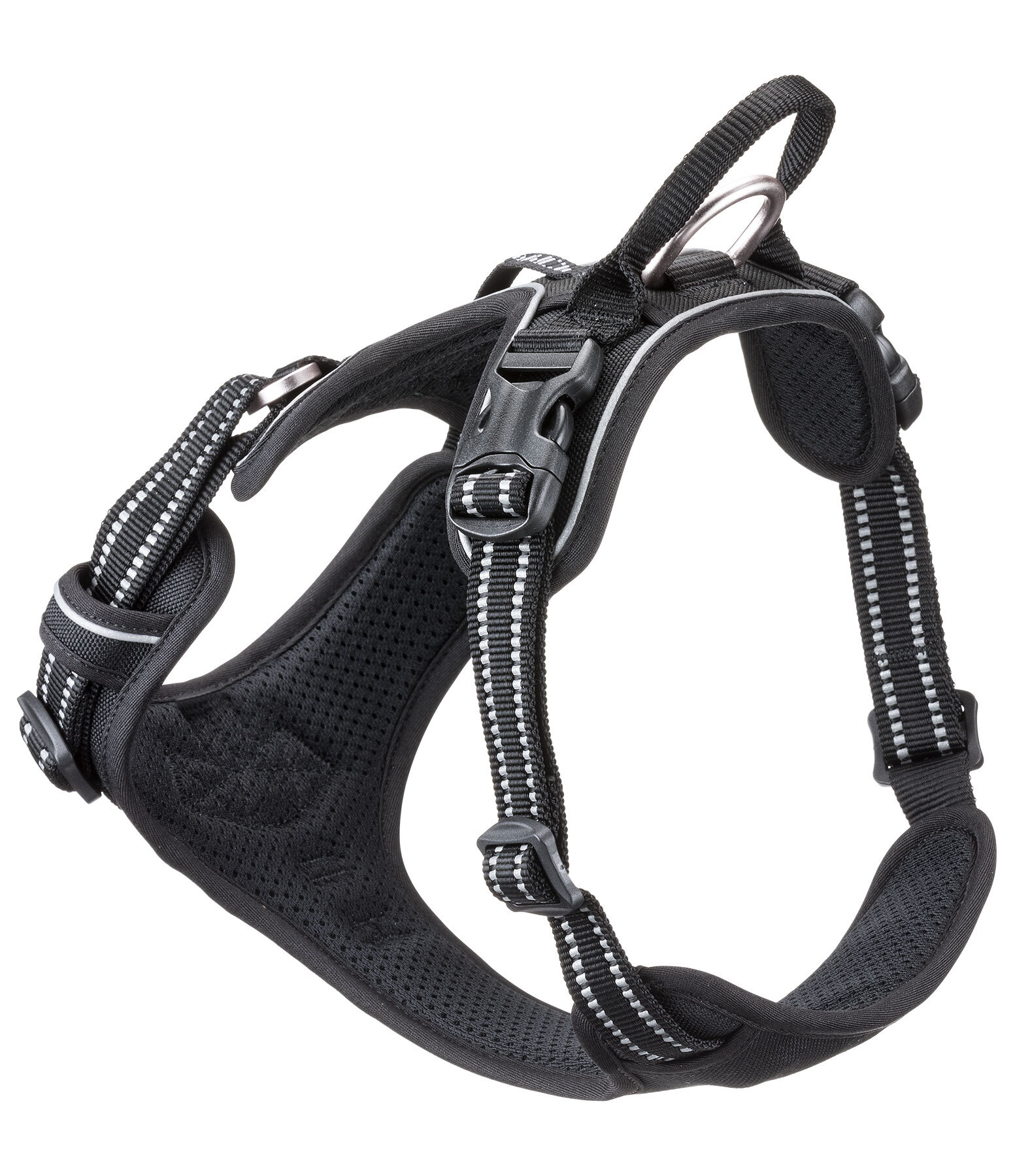 Dog Harness Expedition