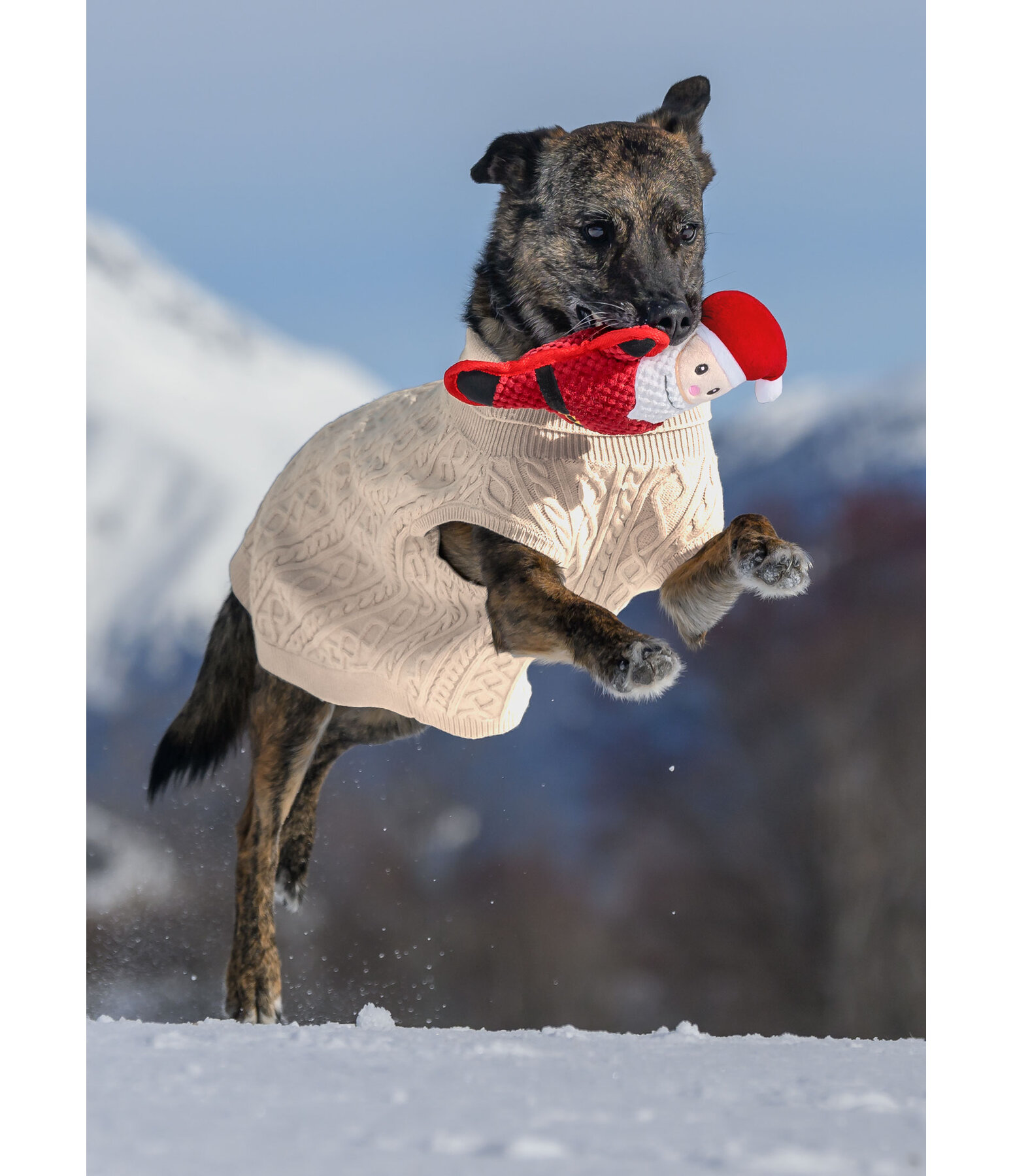 Plush Toy Santa for dogs