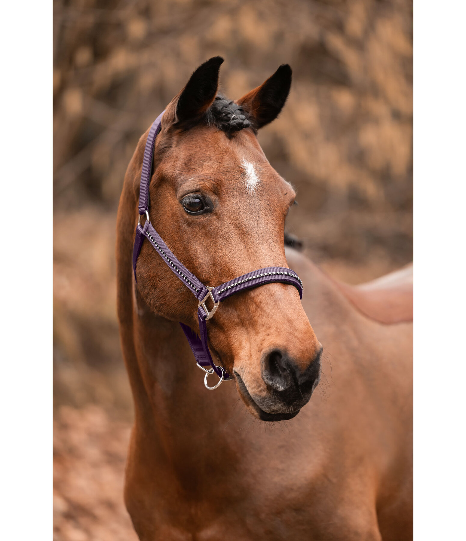 Headcollar Brilliant