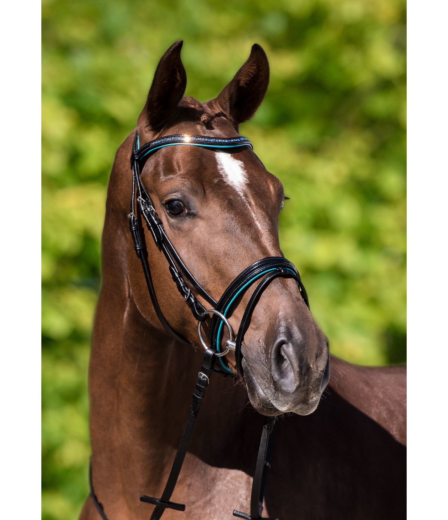 Flash Bridle Kim Cavesson & Flash Nosebands Kramer Equestrian