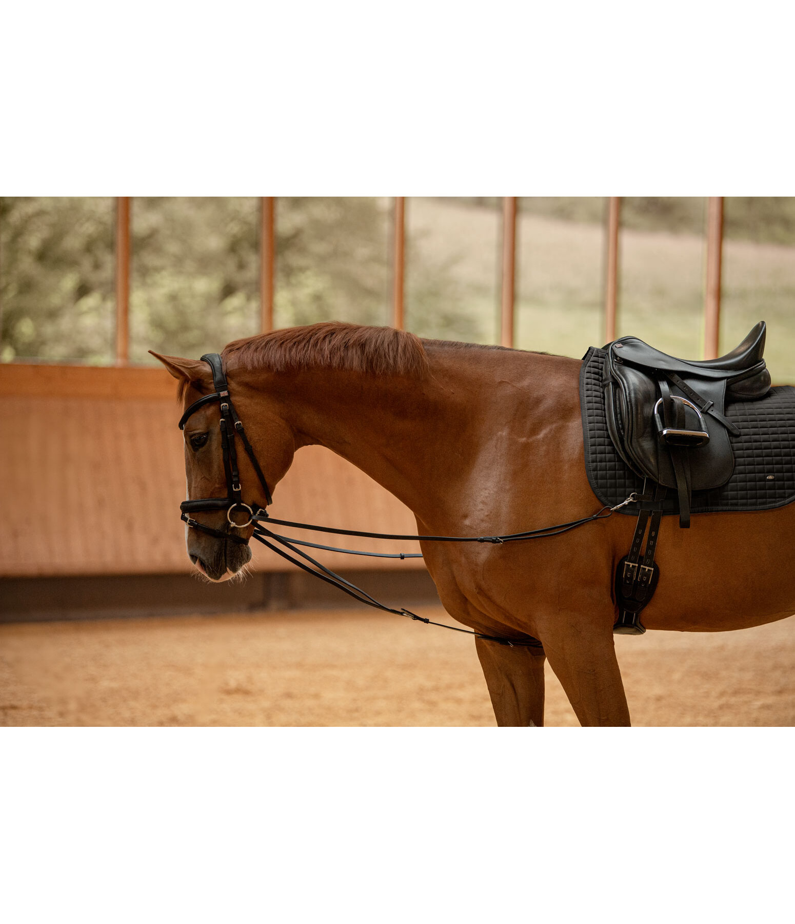 Running Side Reins Easy Fit II