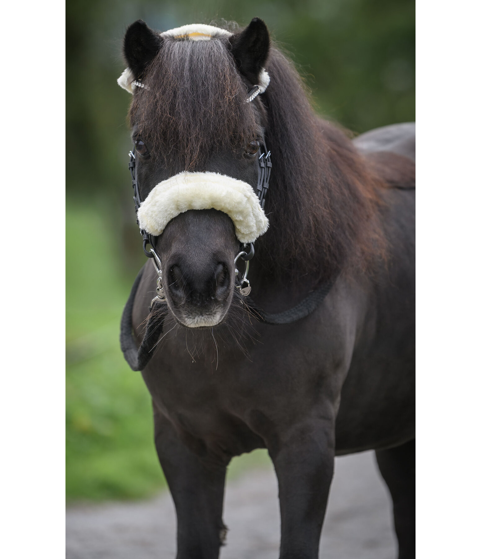 Cotton Reins Leisure Time