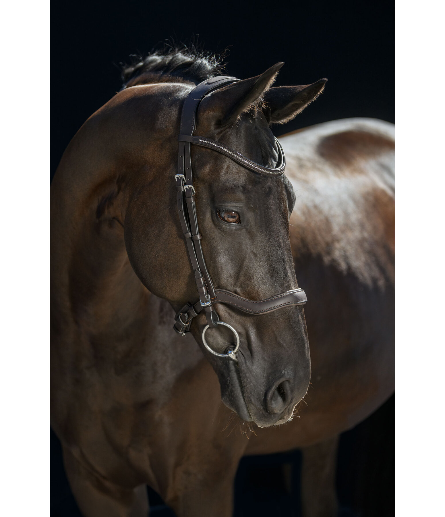 Cavesson Bridle Comfort Space