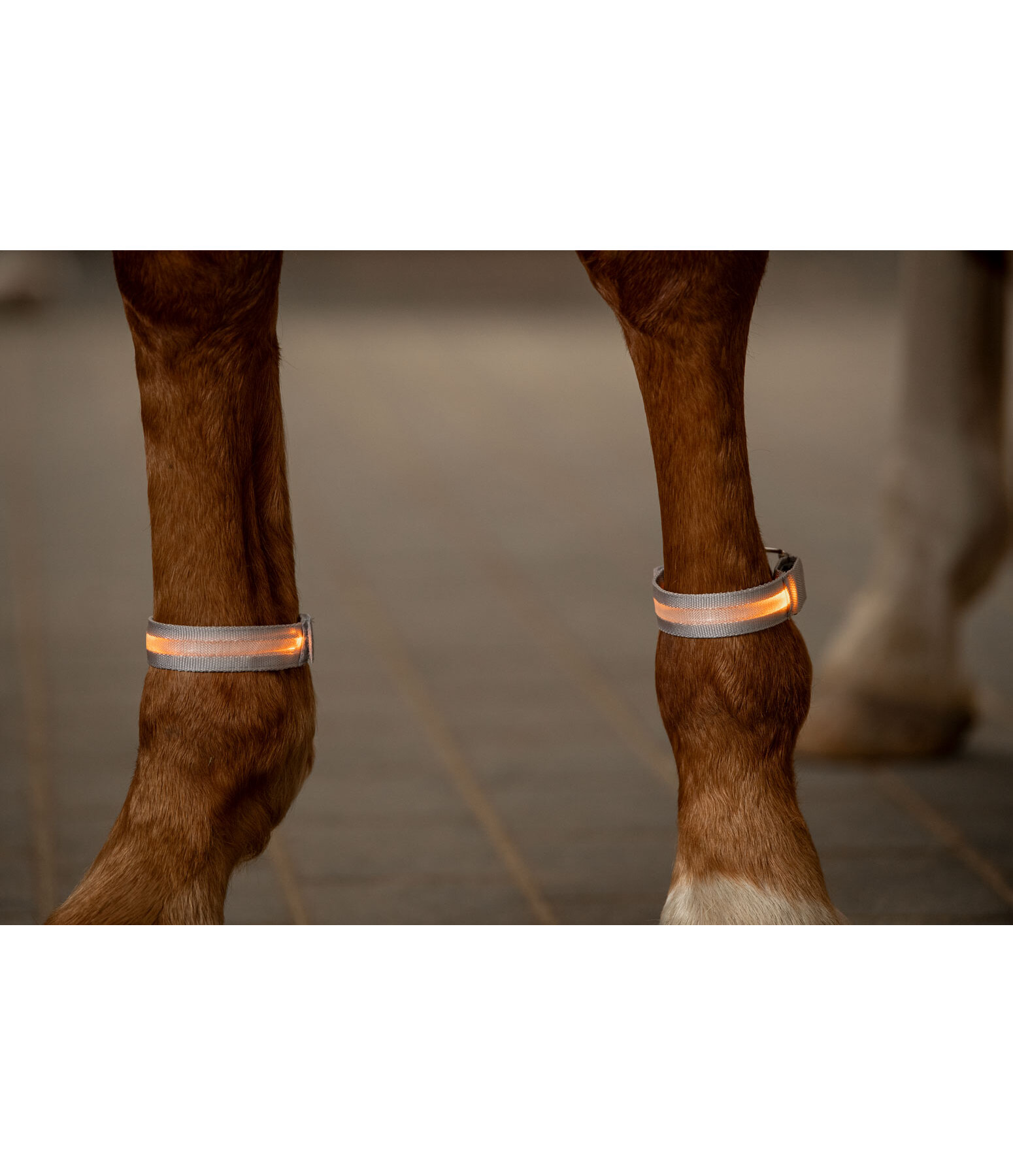 LED Leg Bands Loom