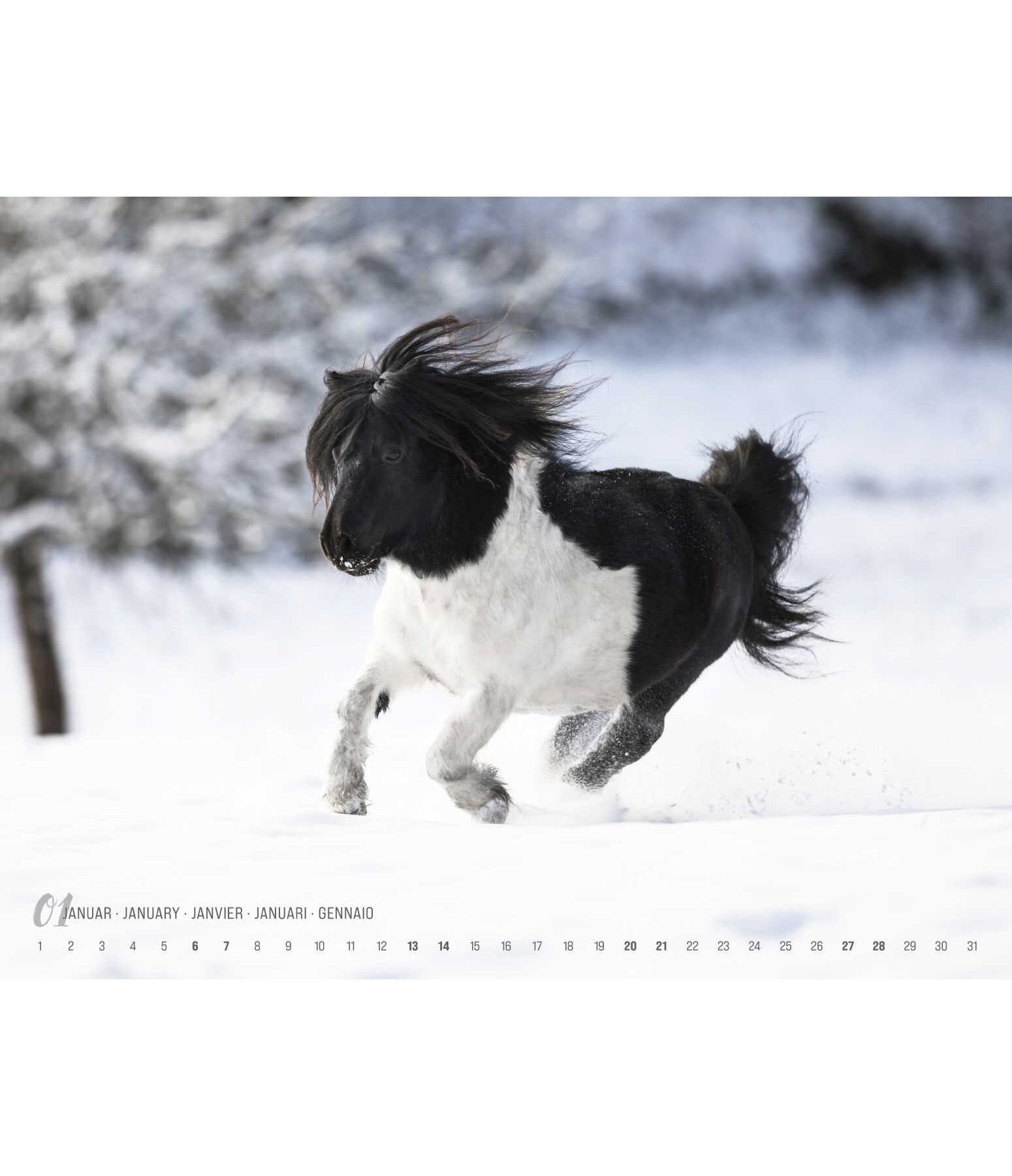 Ponies In The Smokies 2024 Calendar Of Events Near Me Holiday 2024