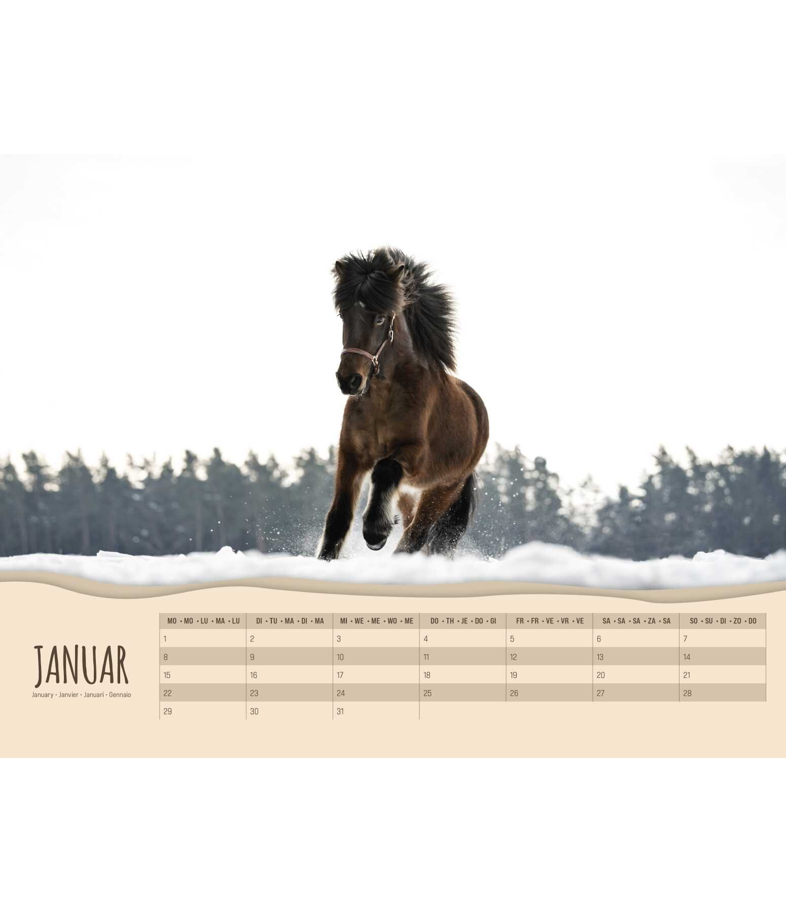 Pony Calendar 2024 Calendars Kramer Equestrian