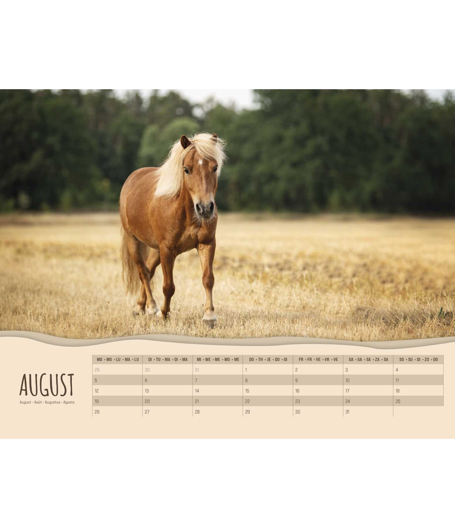 Pony Calendar 2024 Calendars Kramer Equestrian