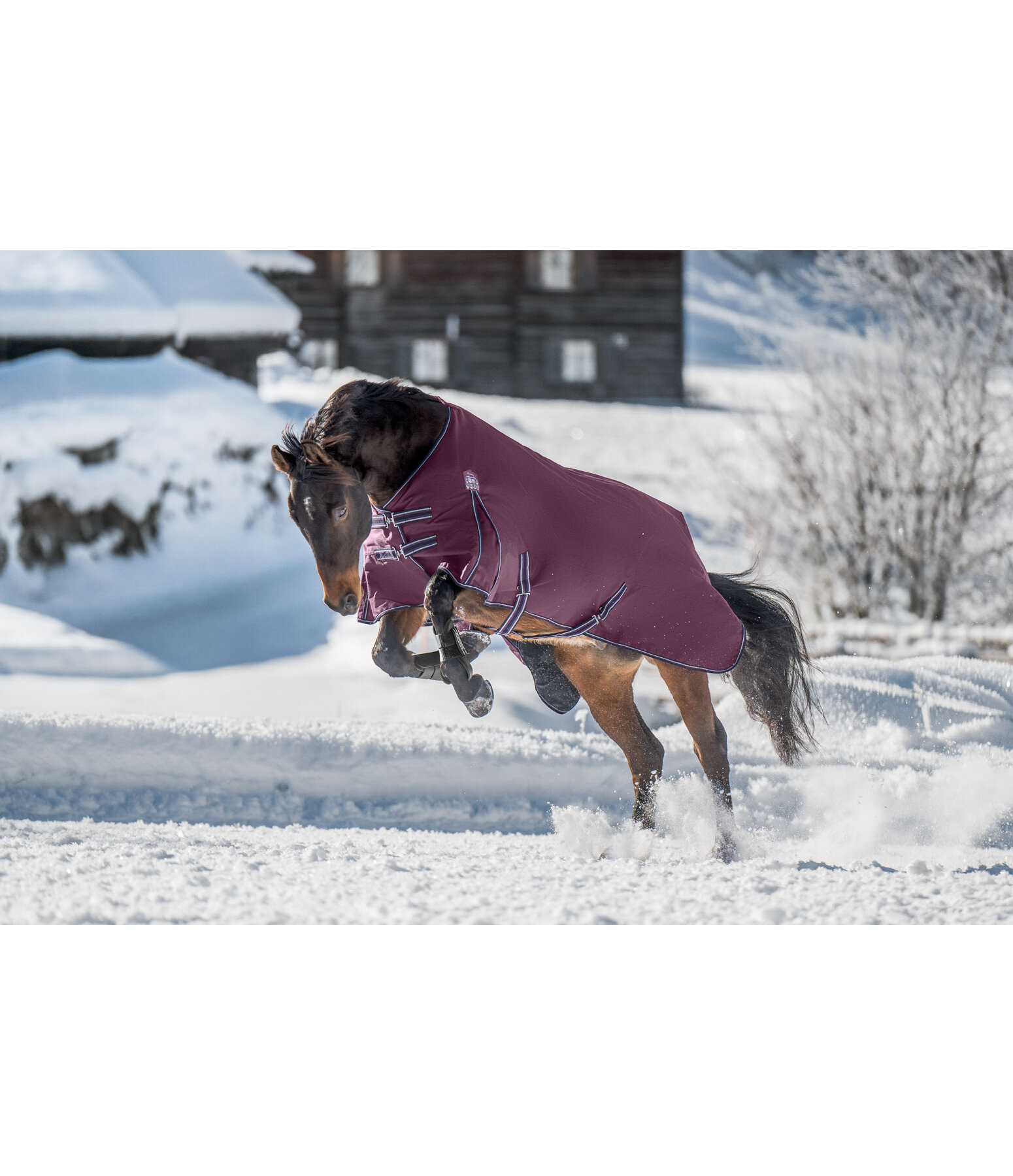 Turnout Rug Kadir IV, 0g