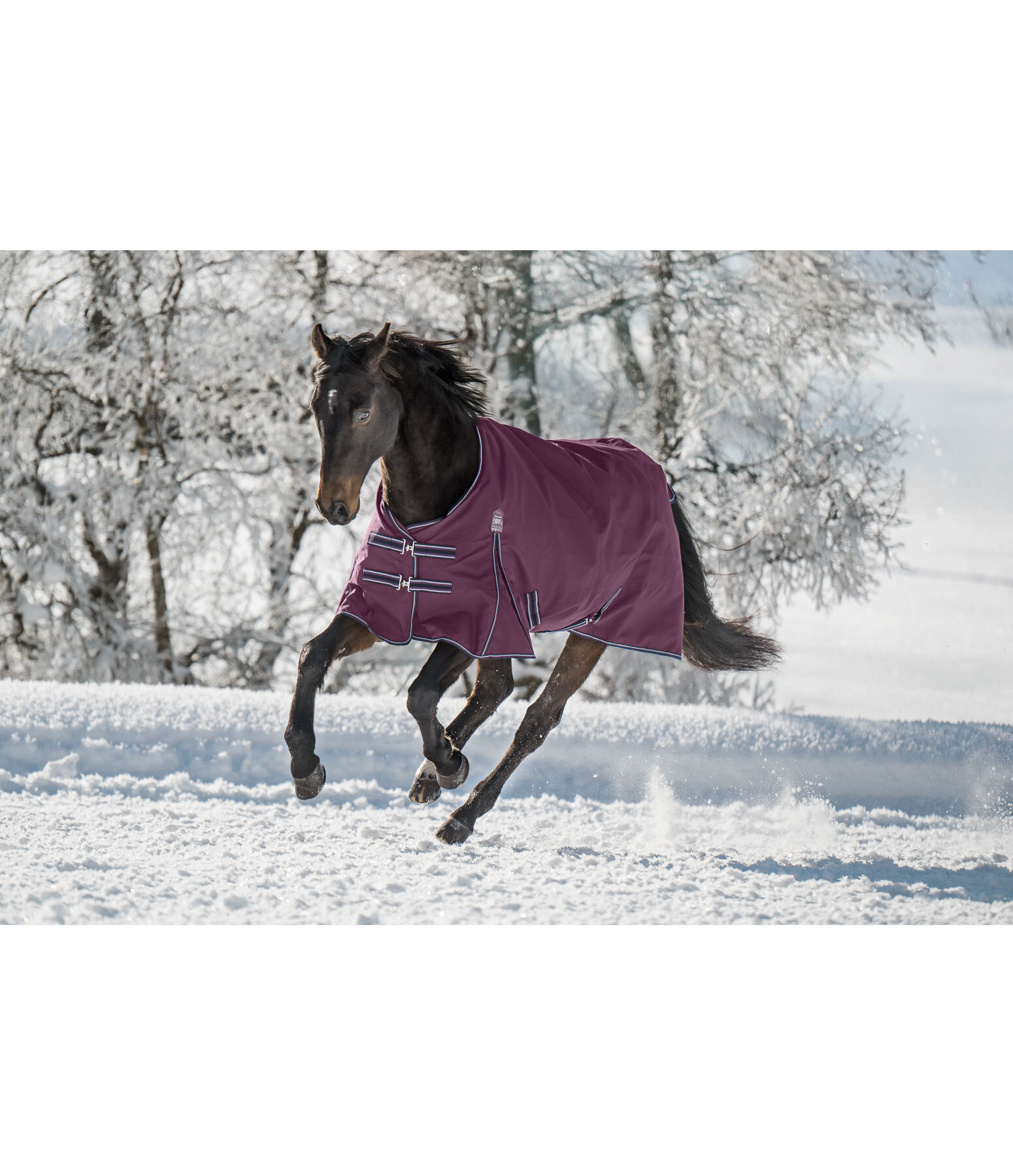 Turnout Rug Kadir IV, 0g