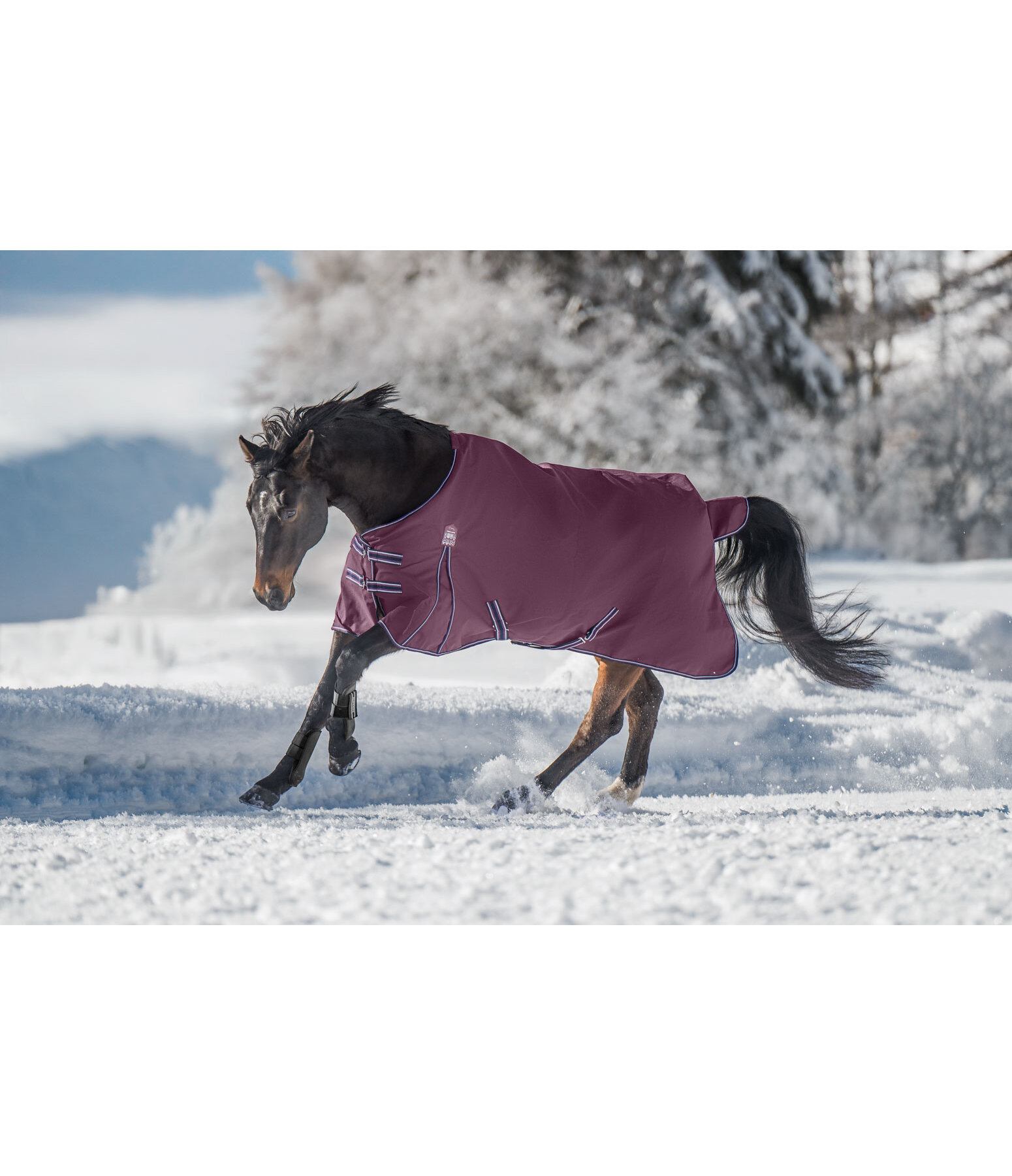 Turnout Rug Kadir IV, 0g