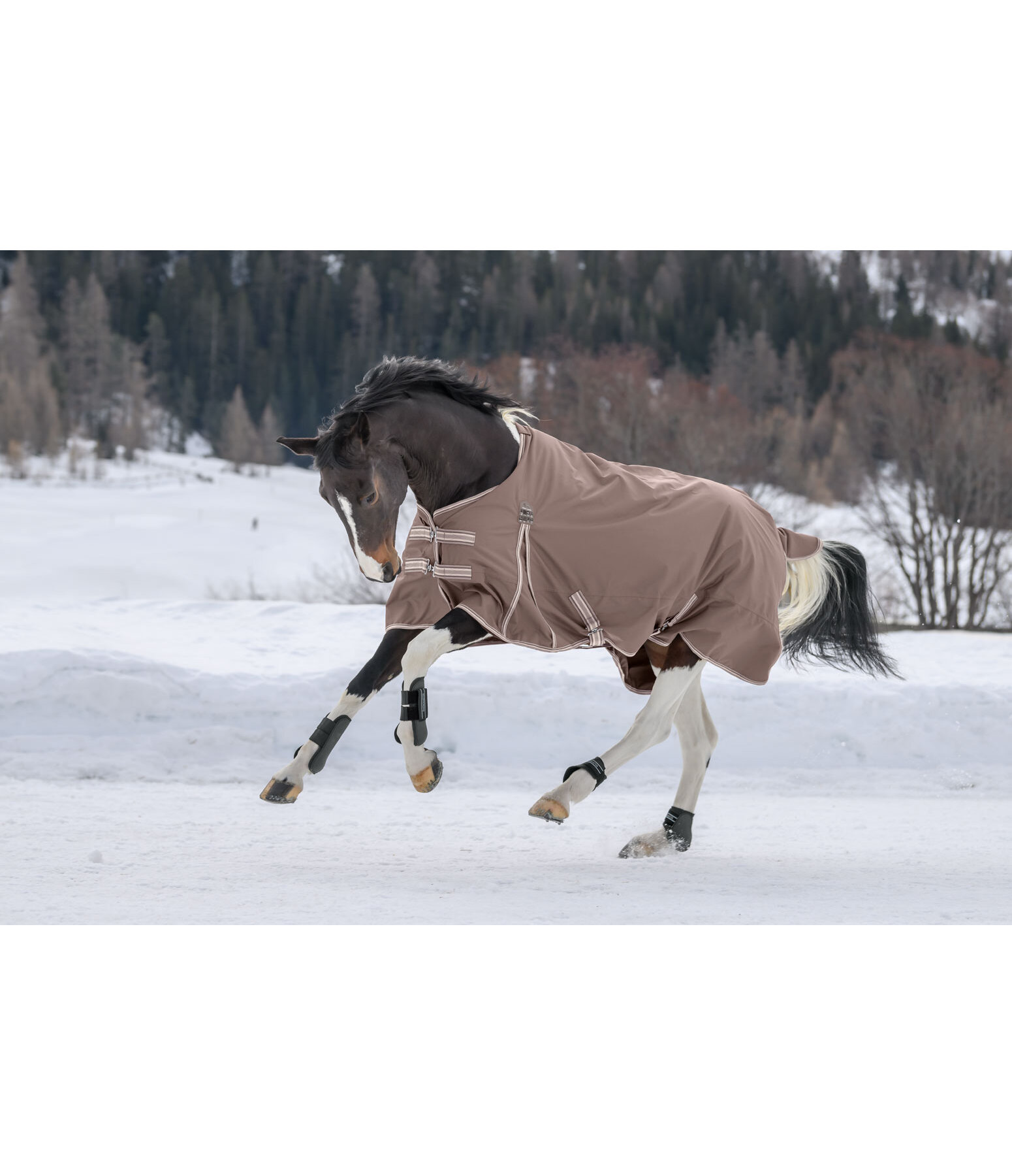 Turnout Rug Kadir IV, 100g