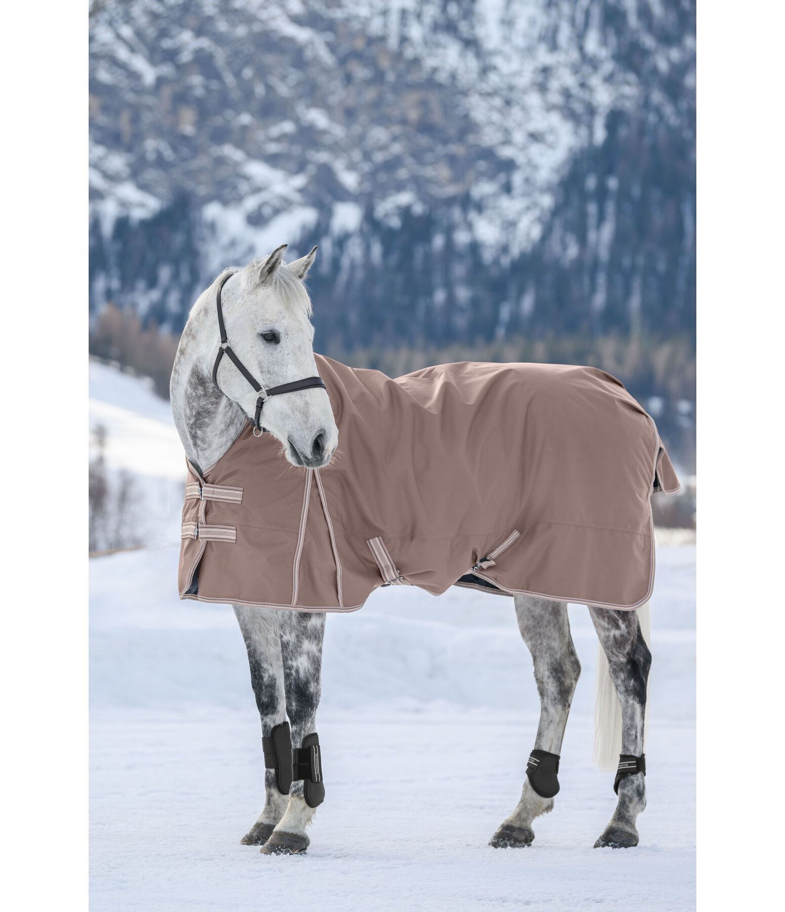 Turnout Rug Kadir IV, 100g