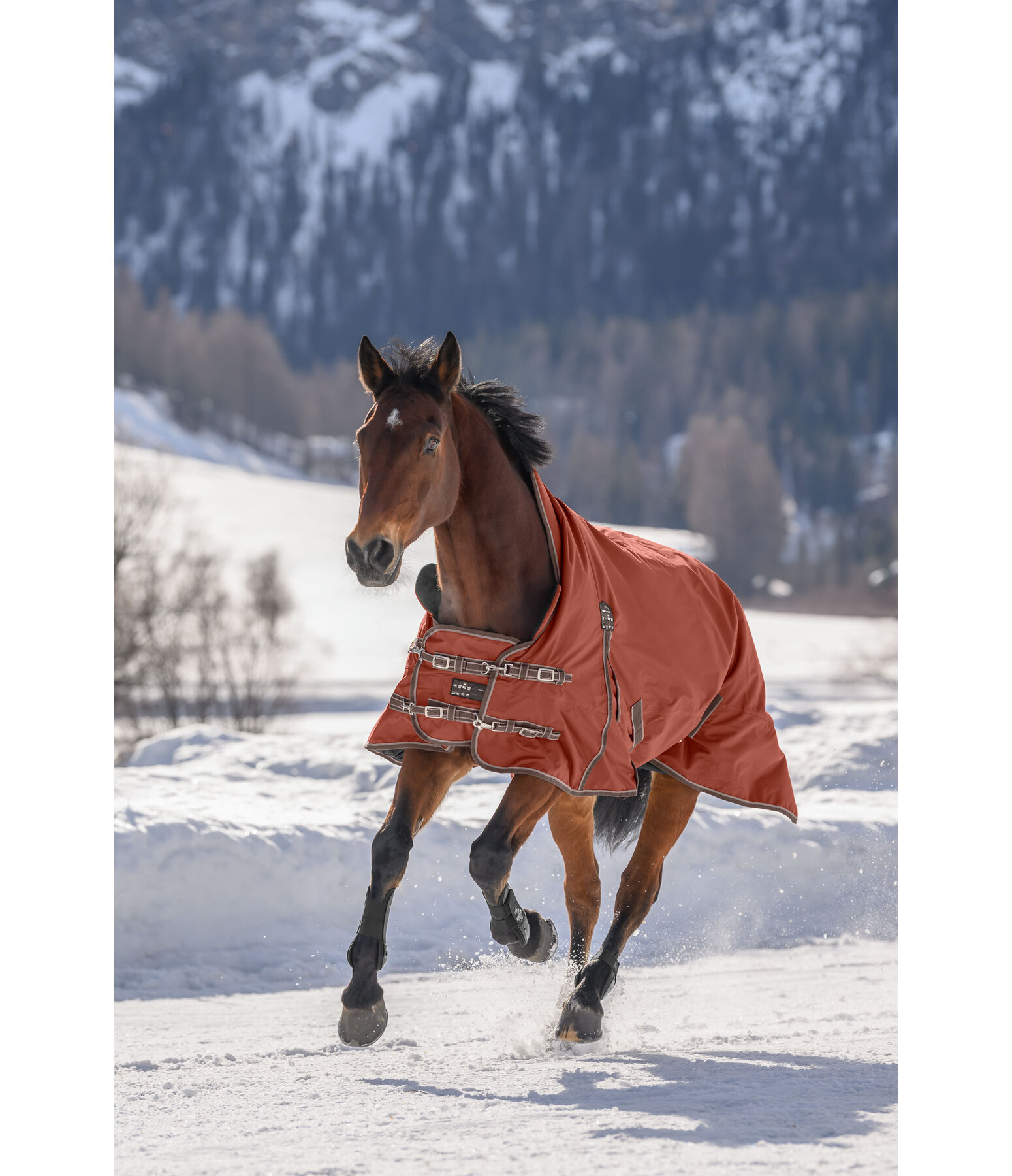 High Neck Turnout Rug Jesco II With Fleece Lining, 0g