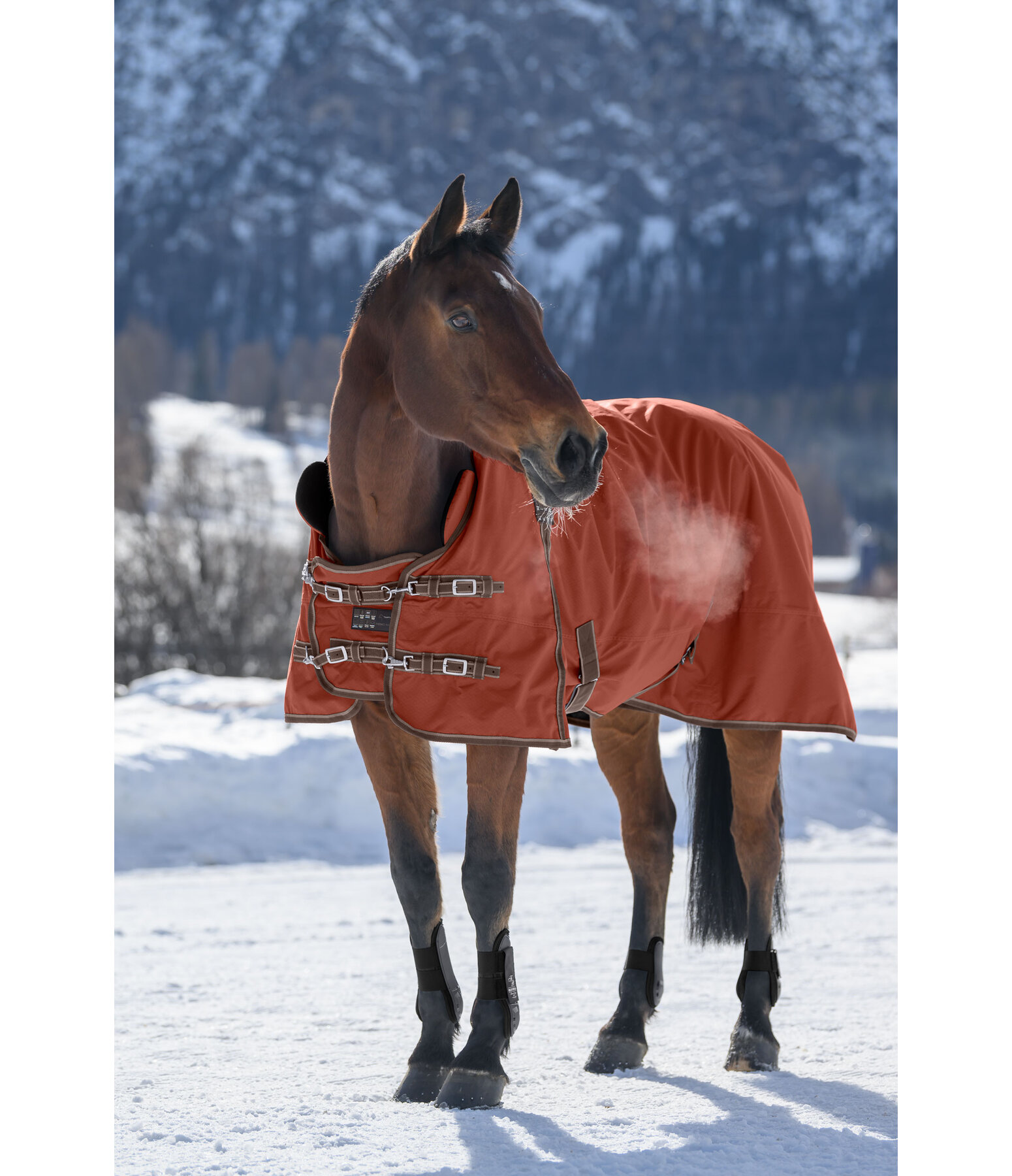 High Neck Turnout Rug Jesco II With Fleece Lining, 0g