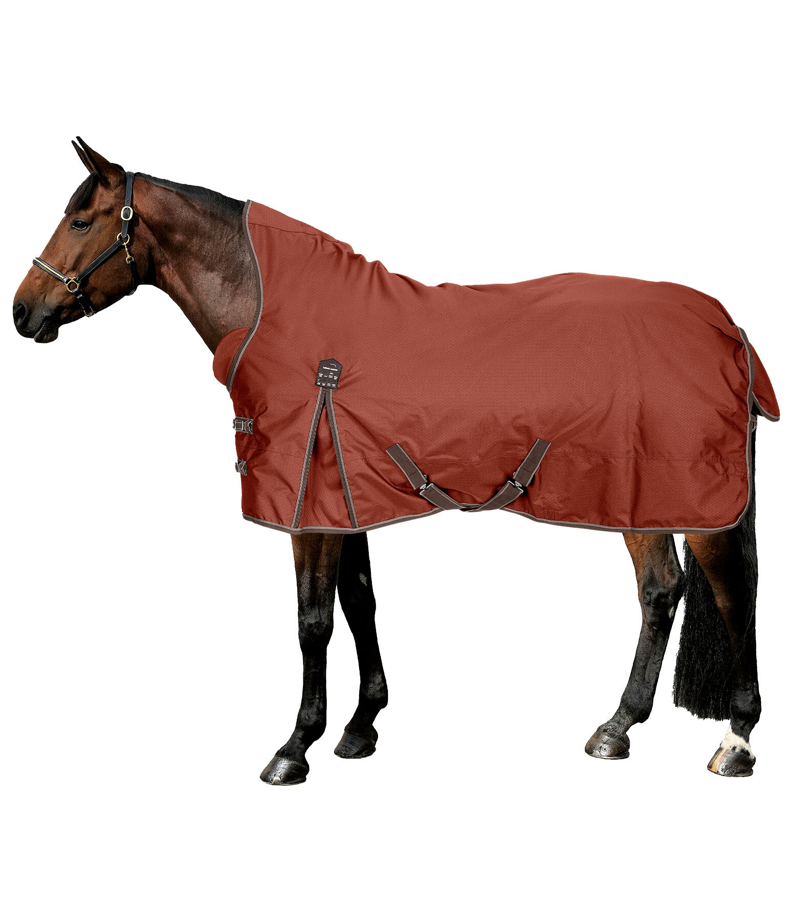 High Neck Turnout Rug Jesco II With Fleece Lining, 100g