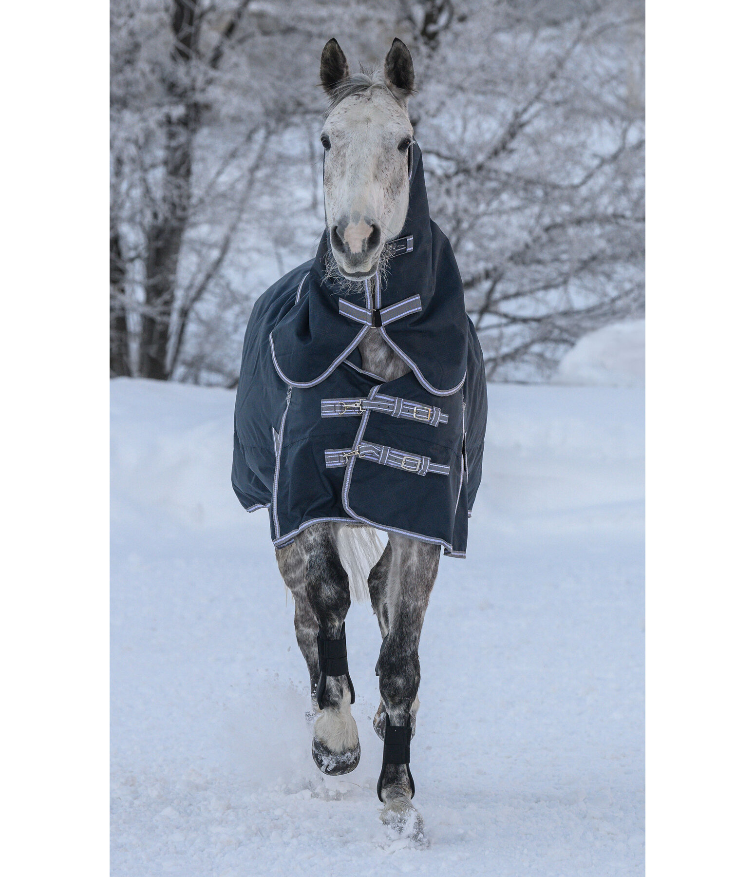 Combination System Neck Piece for Turnout Rug Janice, 150g