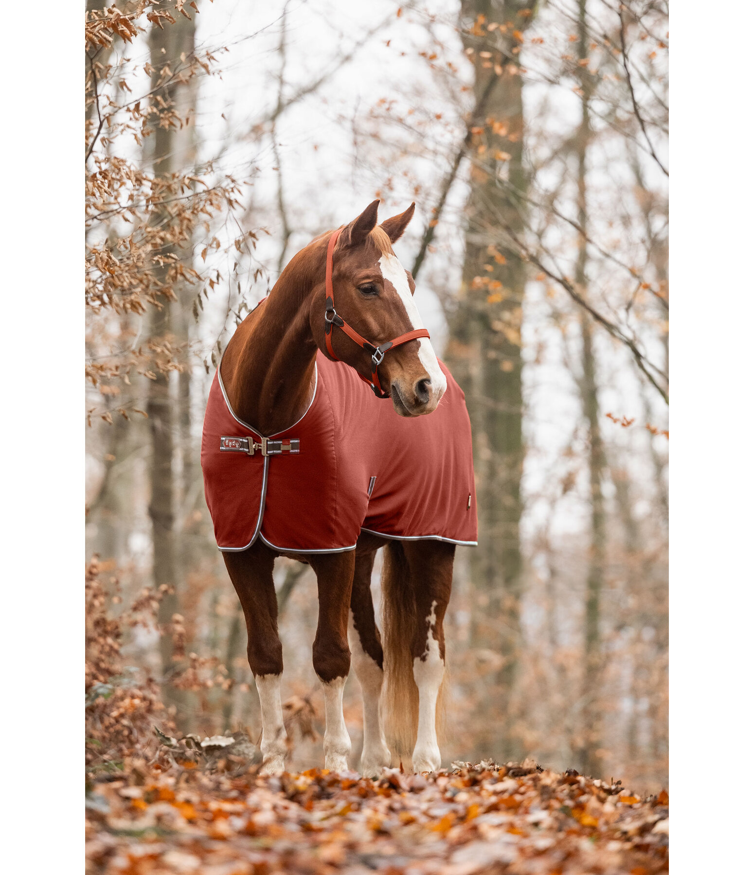 Functional Fleece Wicking Rug Essential