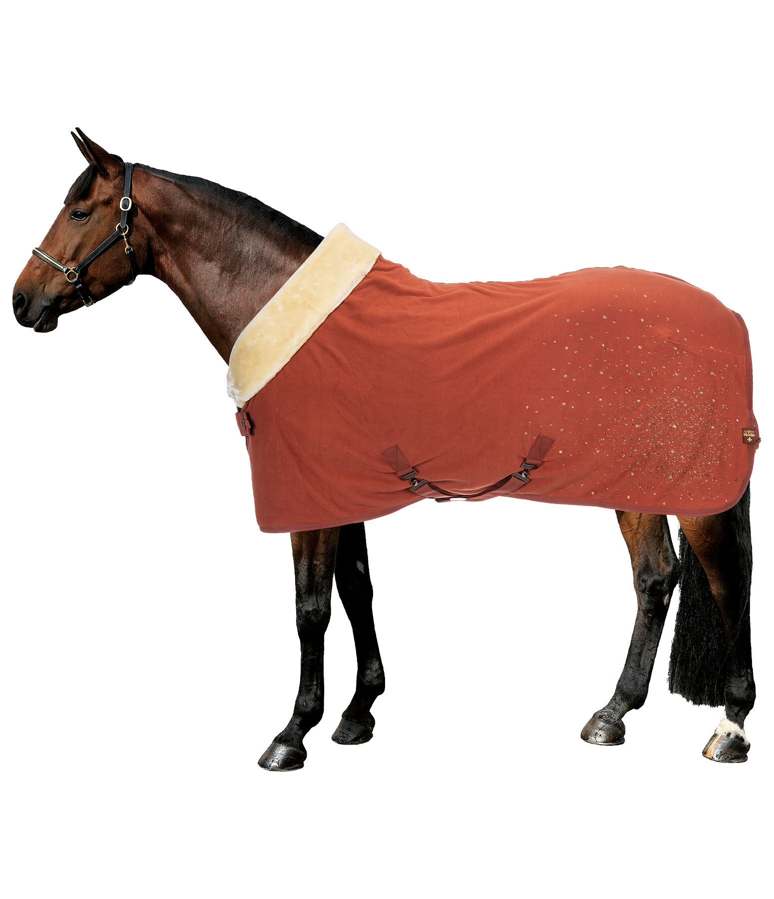 Functional Fleece Wicking Rug Sparkling II