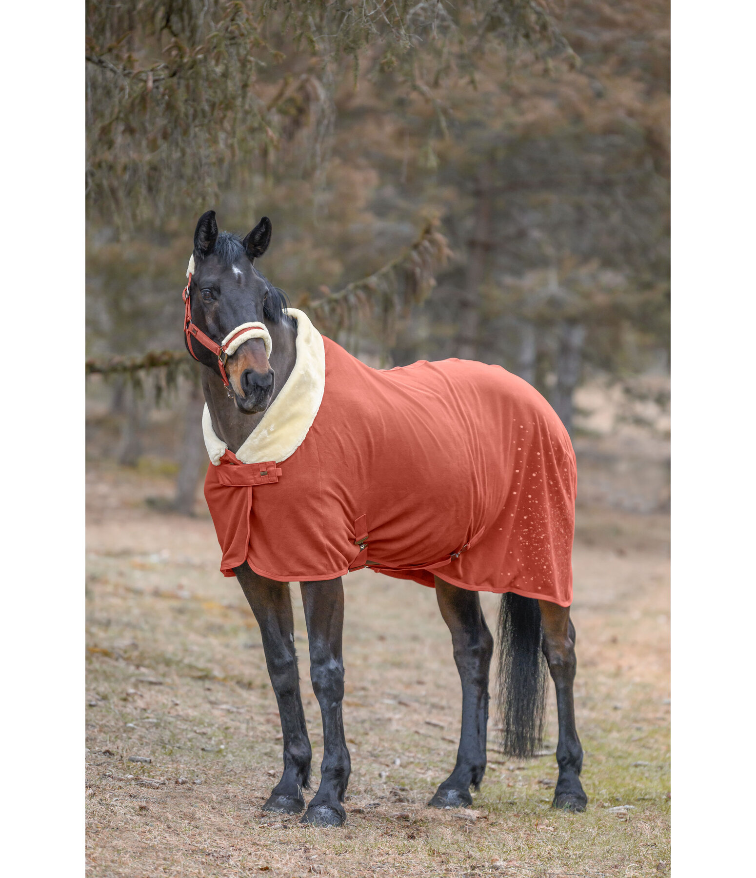 Functional Fleece Wicking Rug Sparkling II