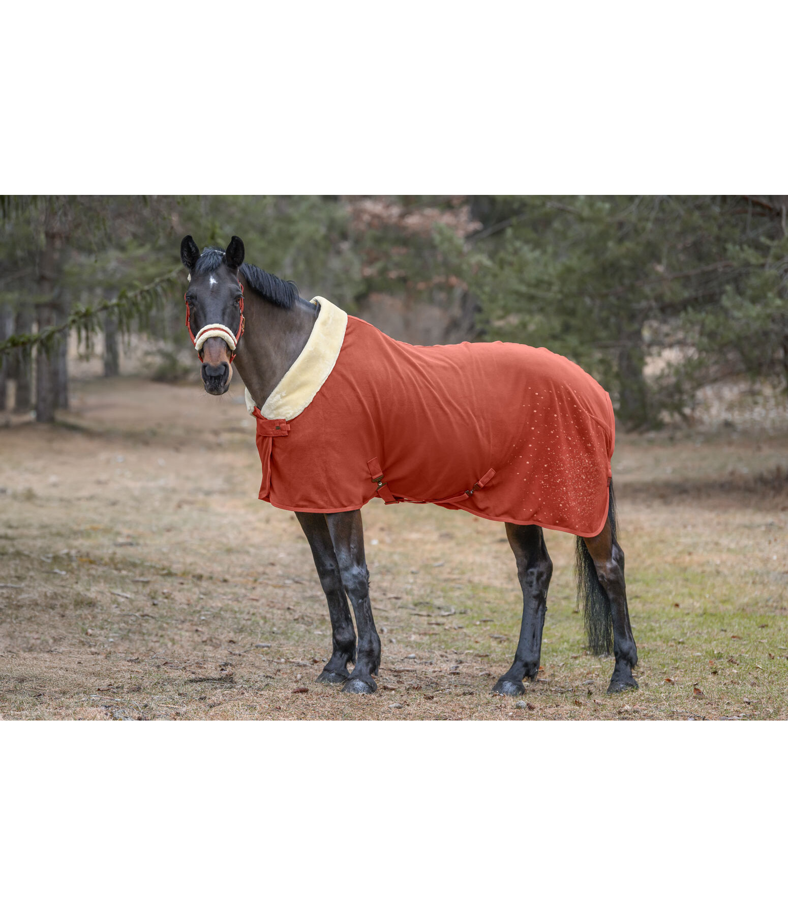 Functional Fleece Wicking Rug Sparkling II