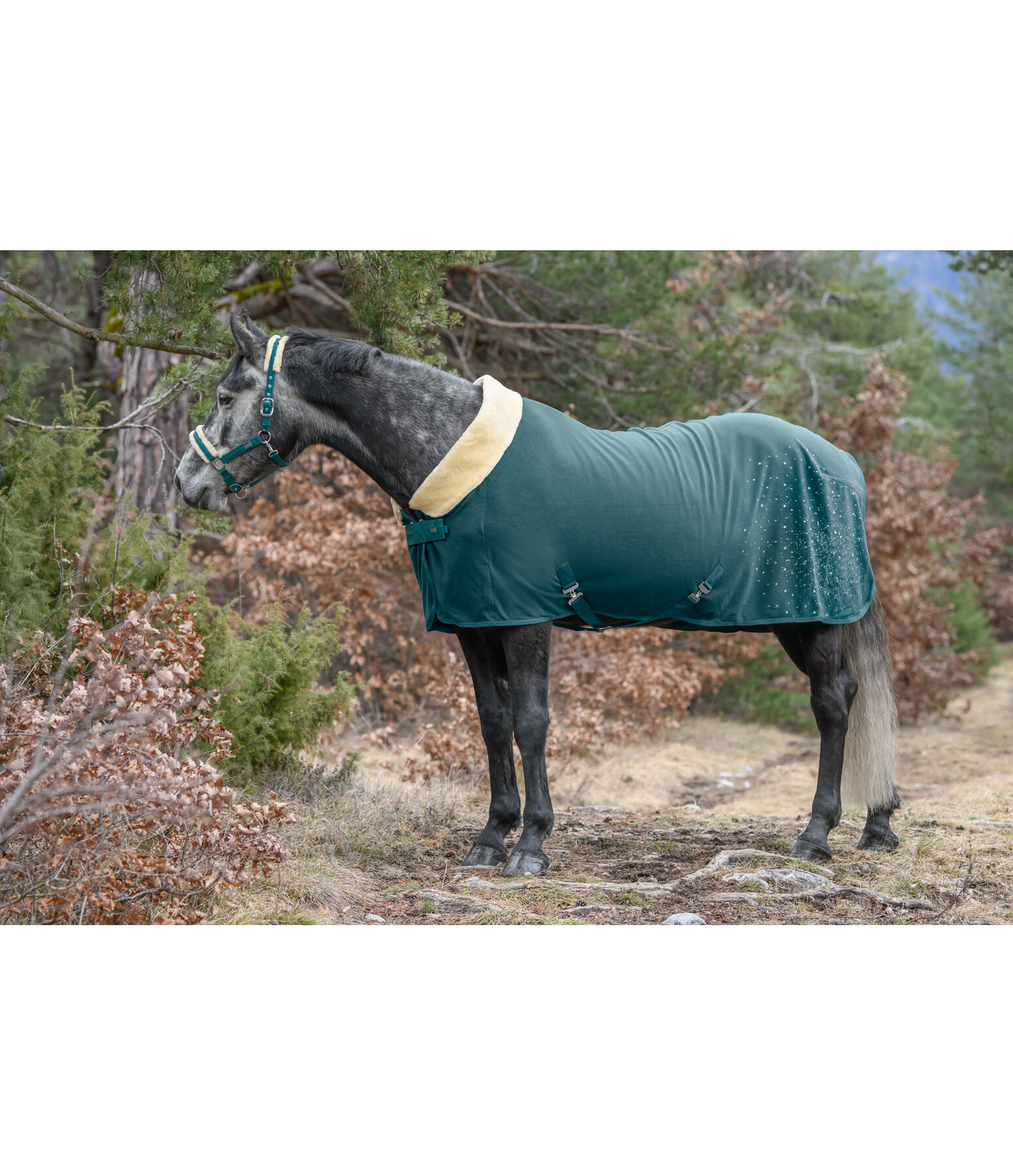 Functional Fleece Wicking Rug Sparkling II