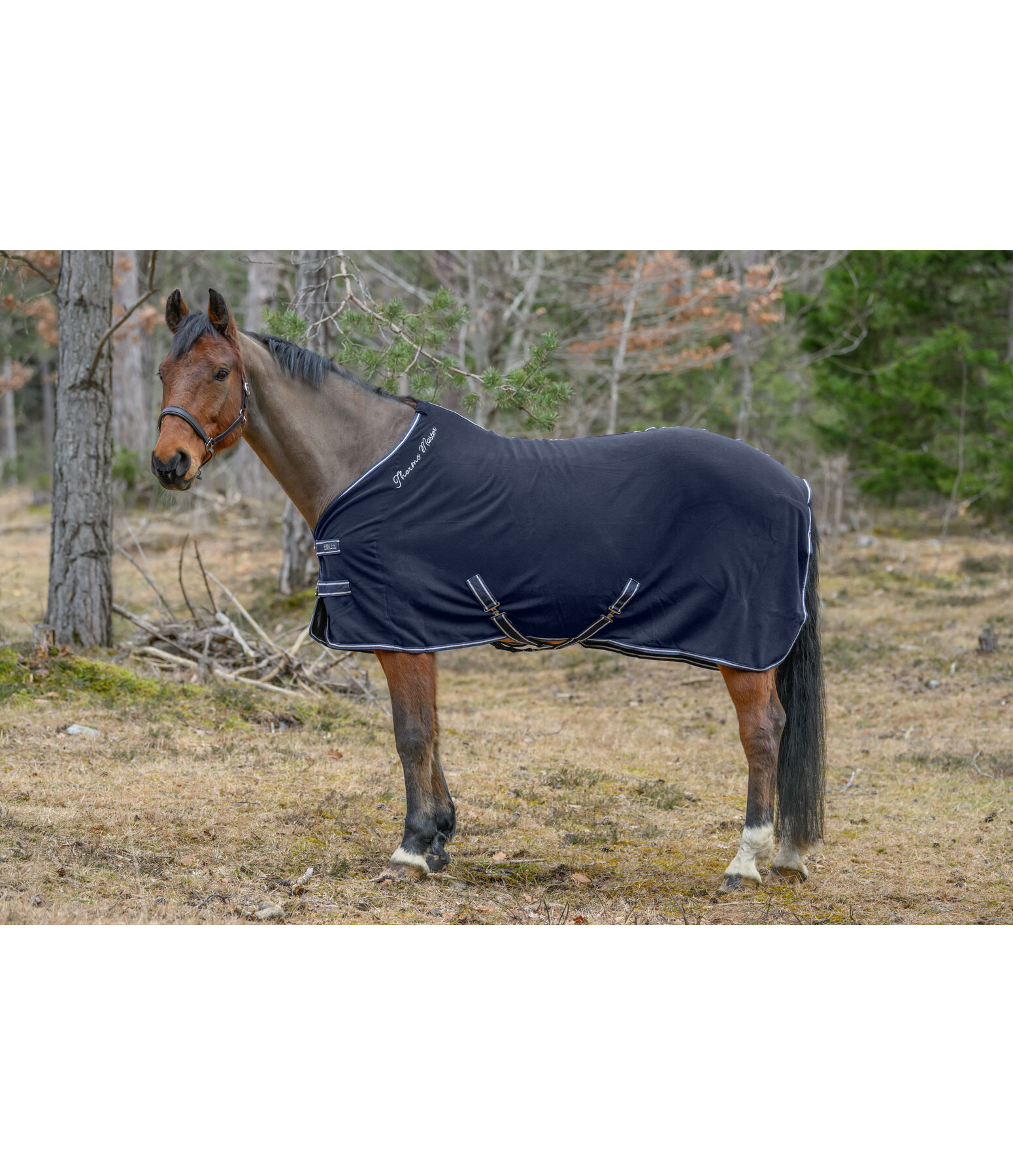 Functional Wicking Rug Terry Towel II