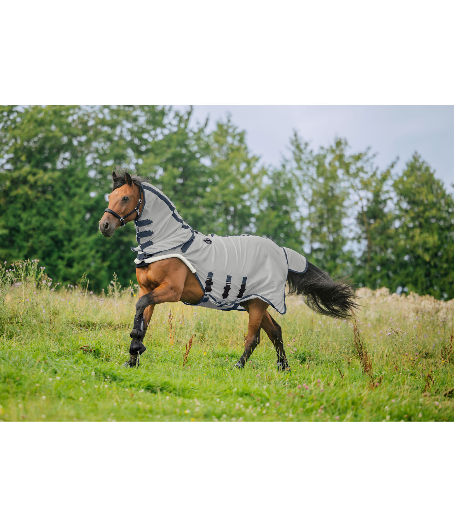 Full Neck Fly Protection Walker Bilma Pro