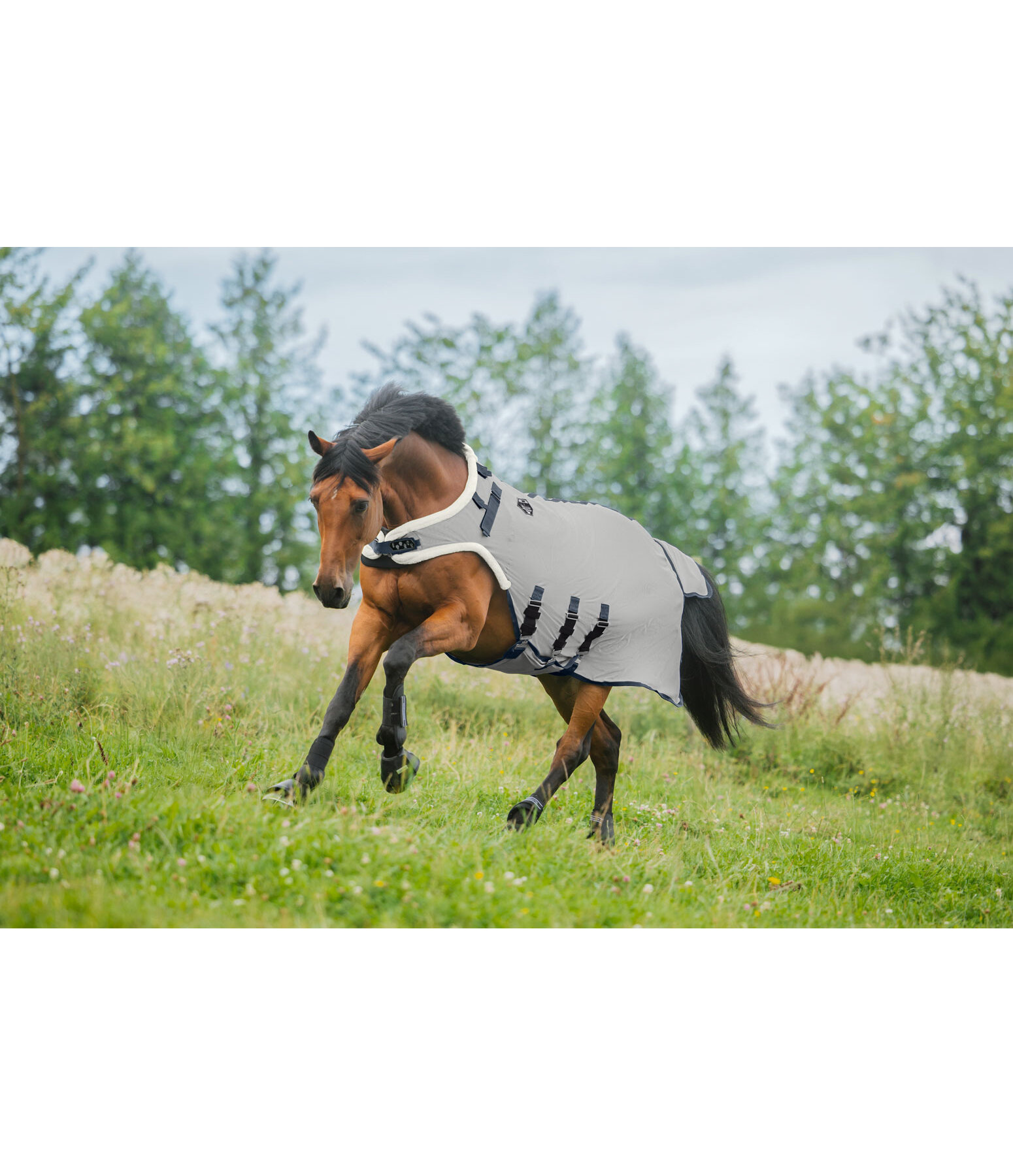 Full Neck Fly Protection Walker Bilma Pro