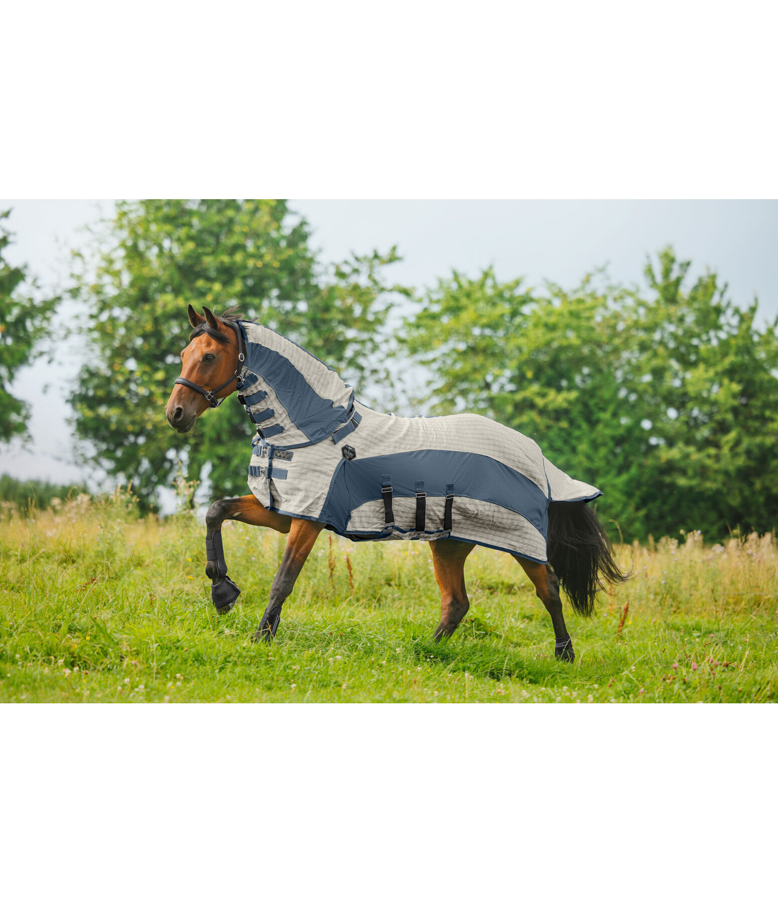 Full Neck Cotton Fly- and Sweet Itch Rug Fynbos