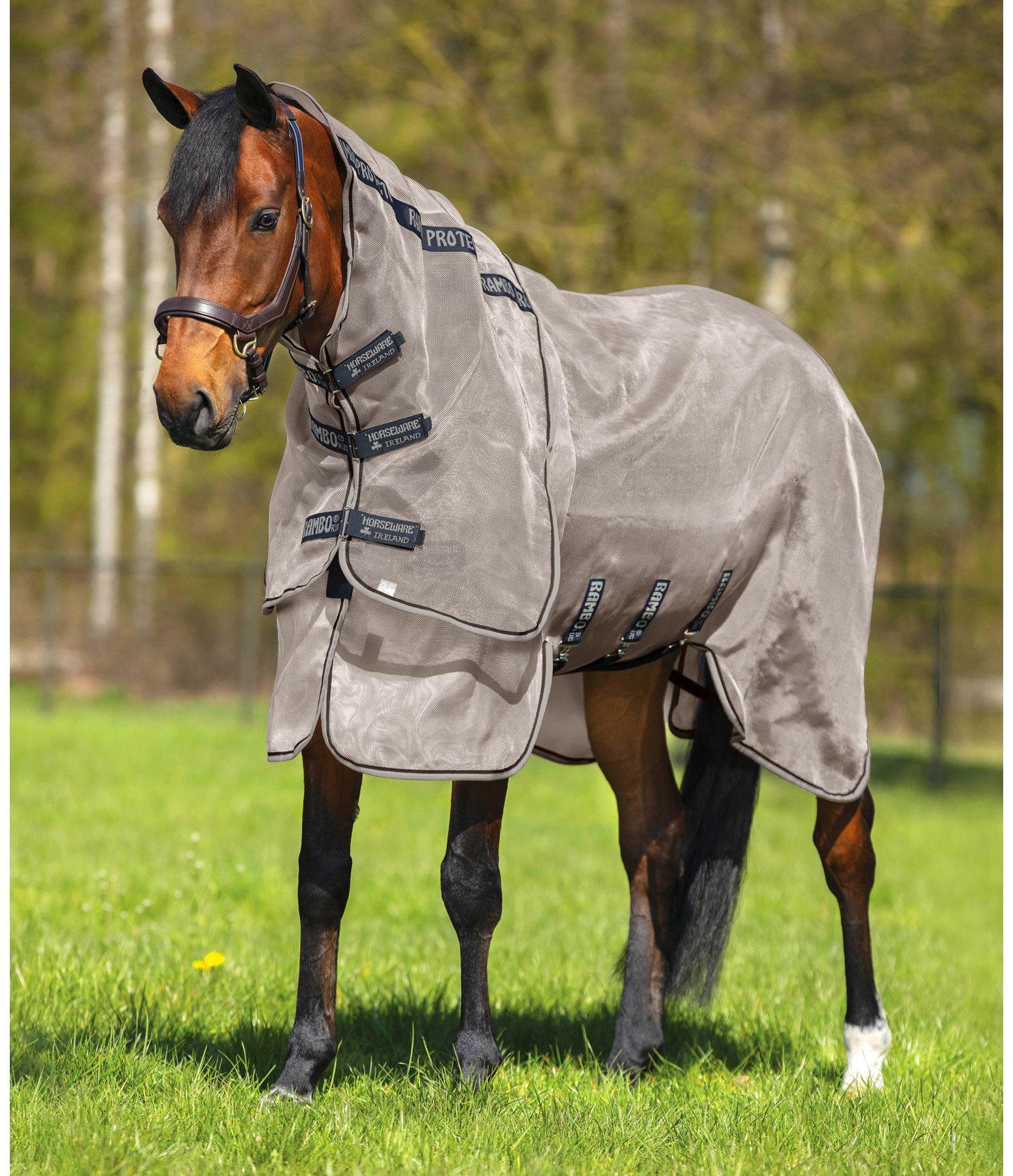 RAMBO Fly and Sweet Itch Rug Protector with UV Protection 65+