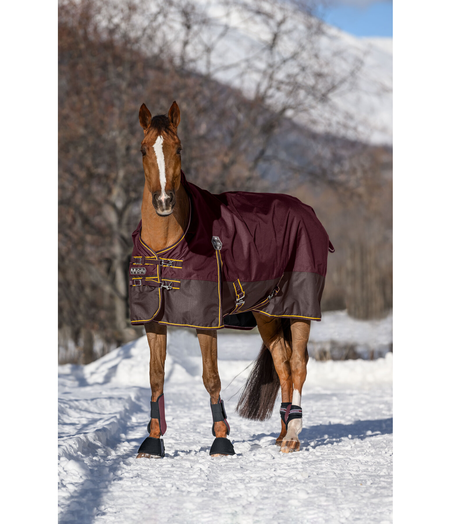 Turnout Rug Generously, 150g