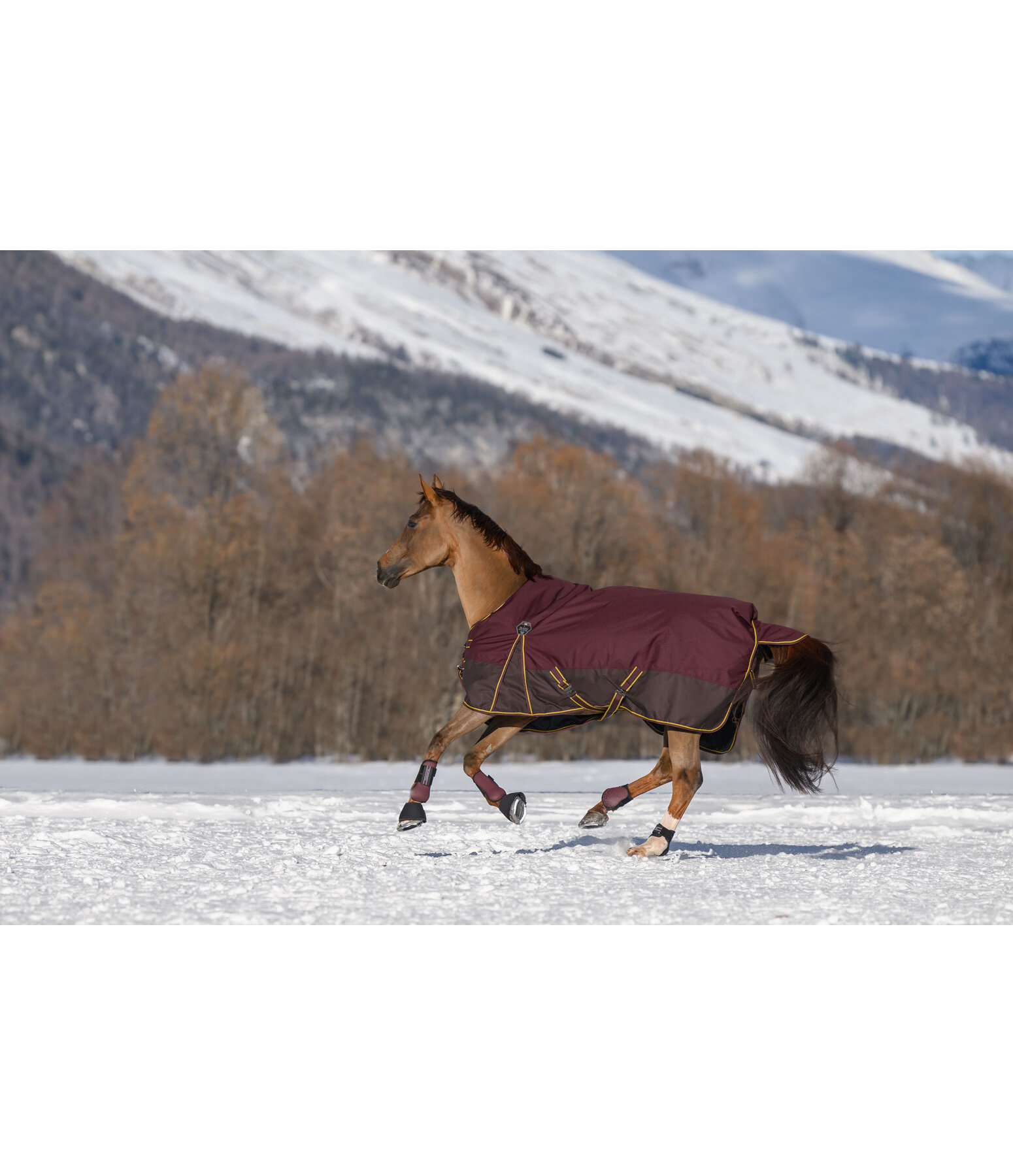 Turnout Rug Generously, 150g