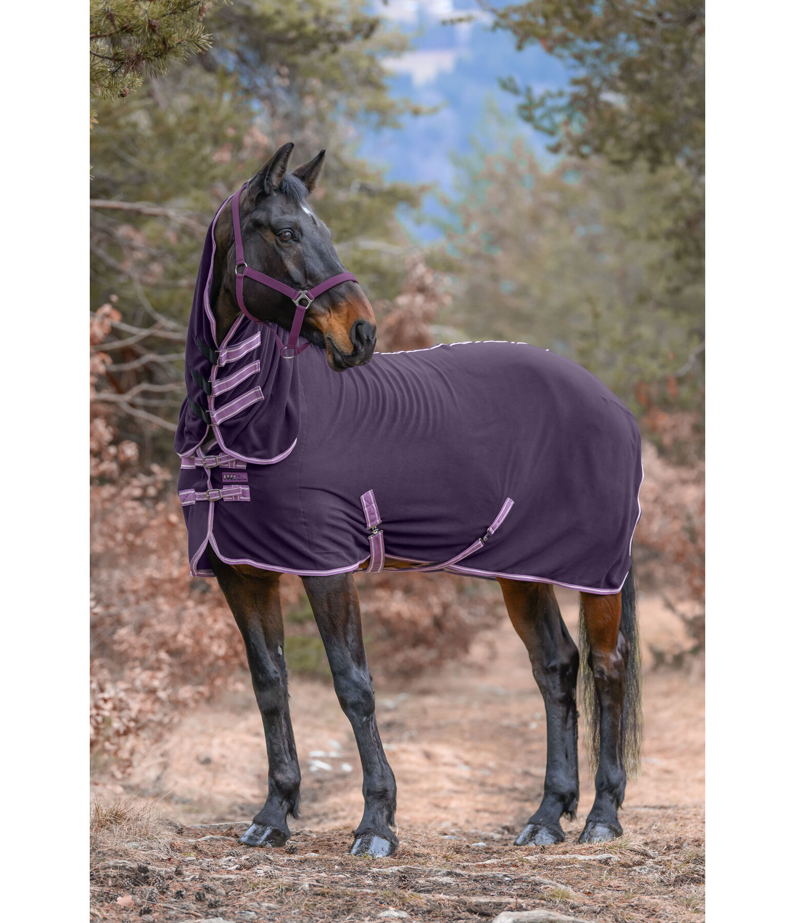 Activity Fleece Rug with Roll-up Neck Piece