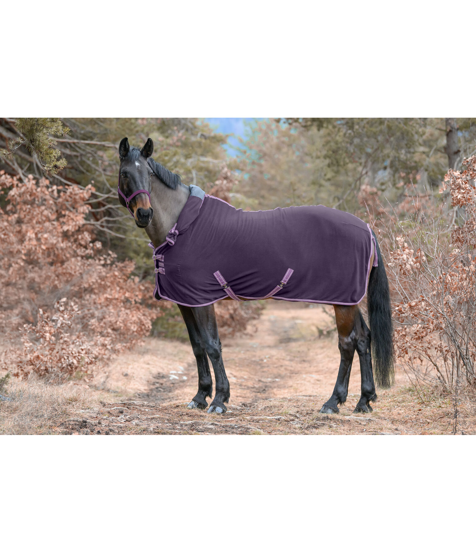 Activity Fleece Rug with Roll-up Neck Piece